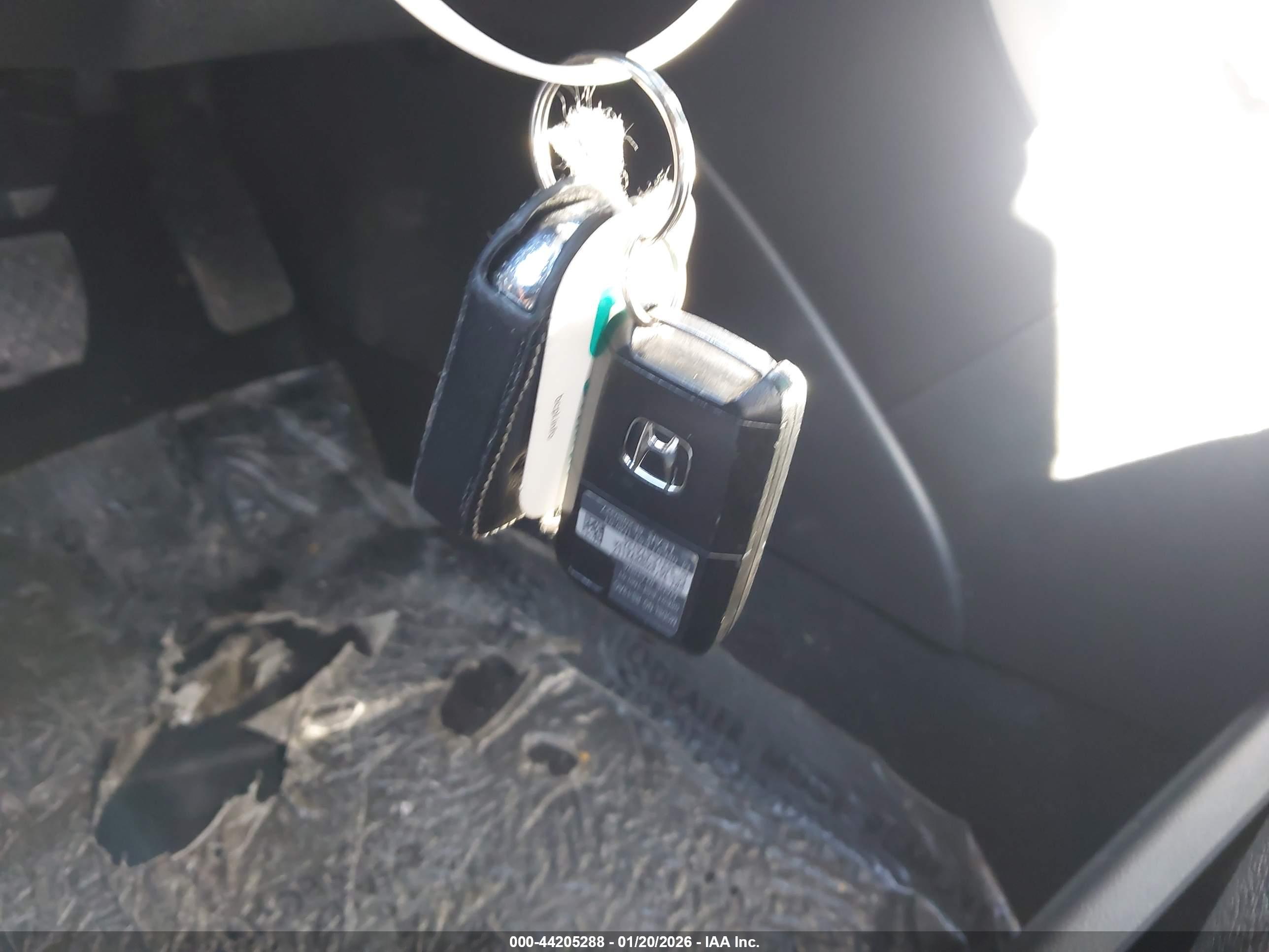 HONDA ACCORD image 11