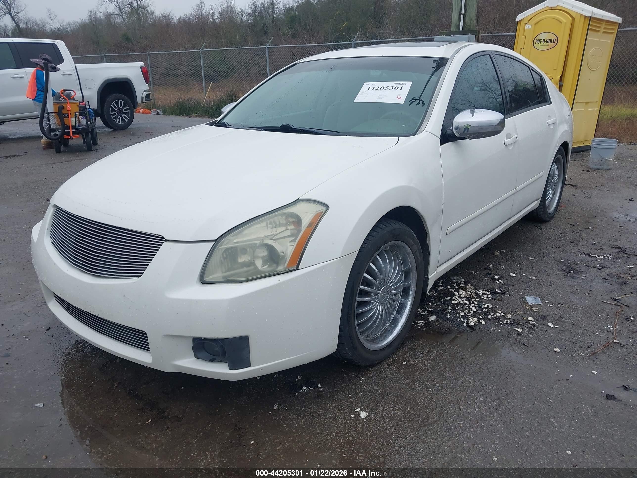 NISSAN MAXIMA image 2