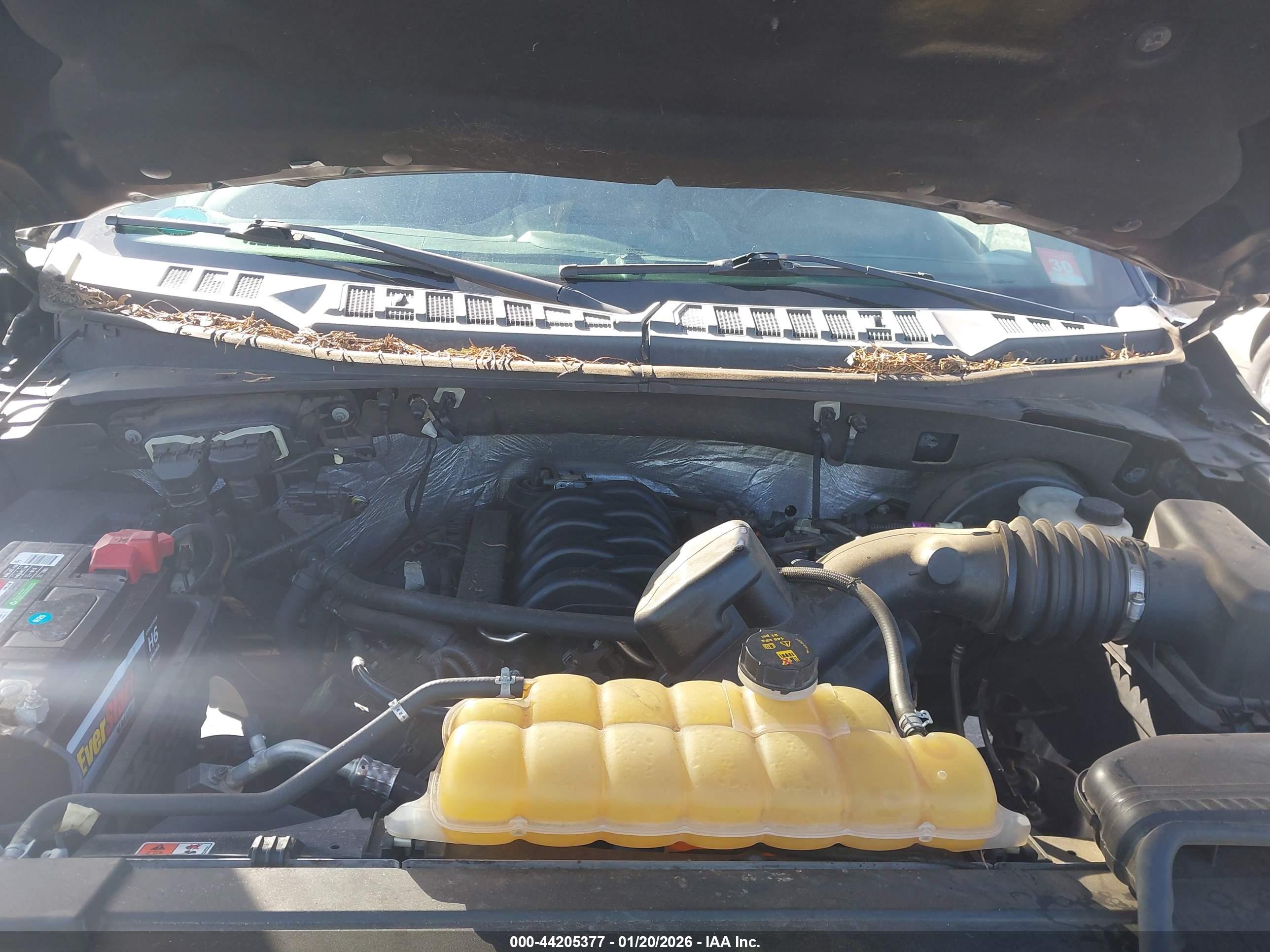 FORD F-150 image 10