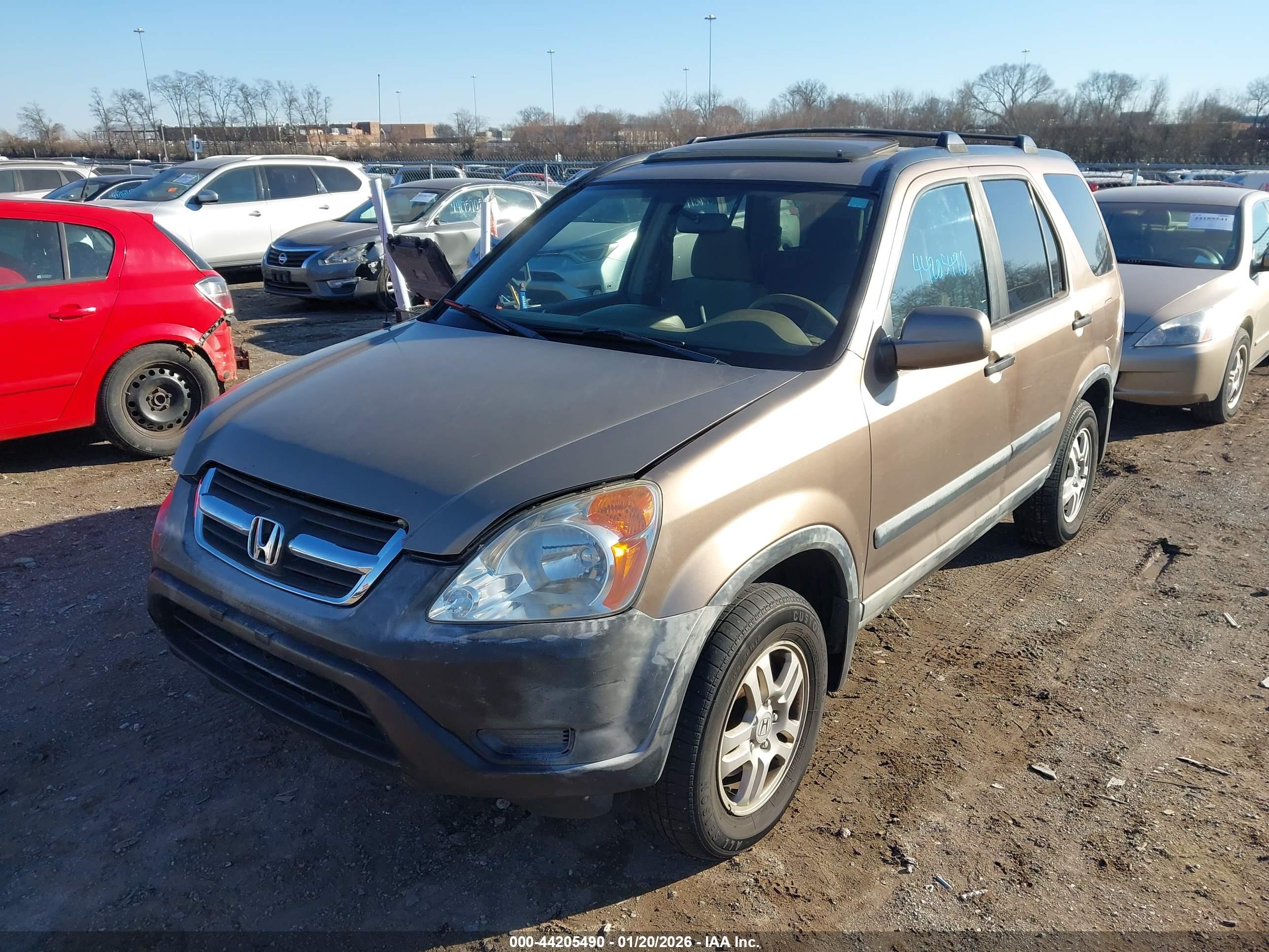 HONDA CR-V image 6