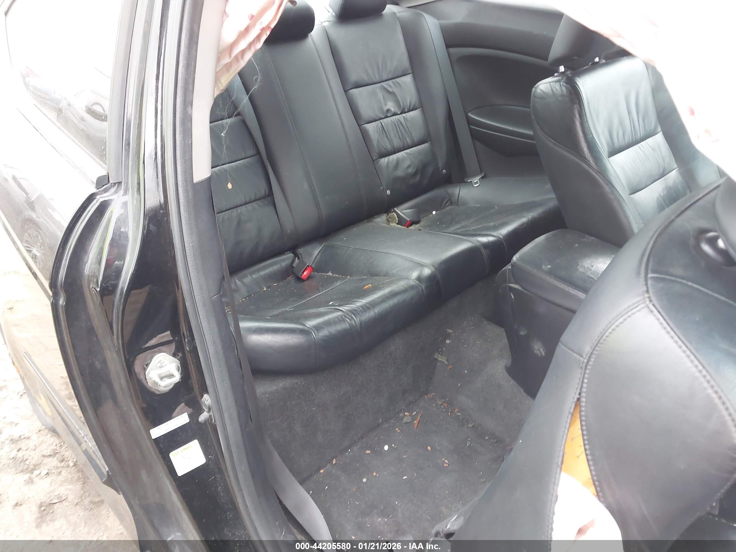 HONDA ACCORD image 8
