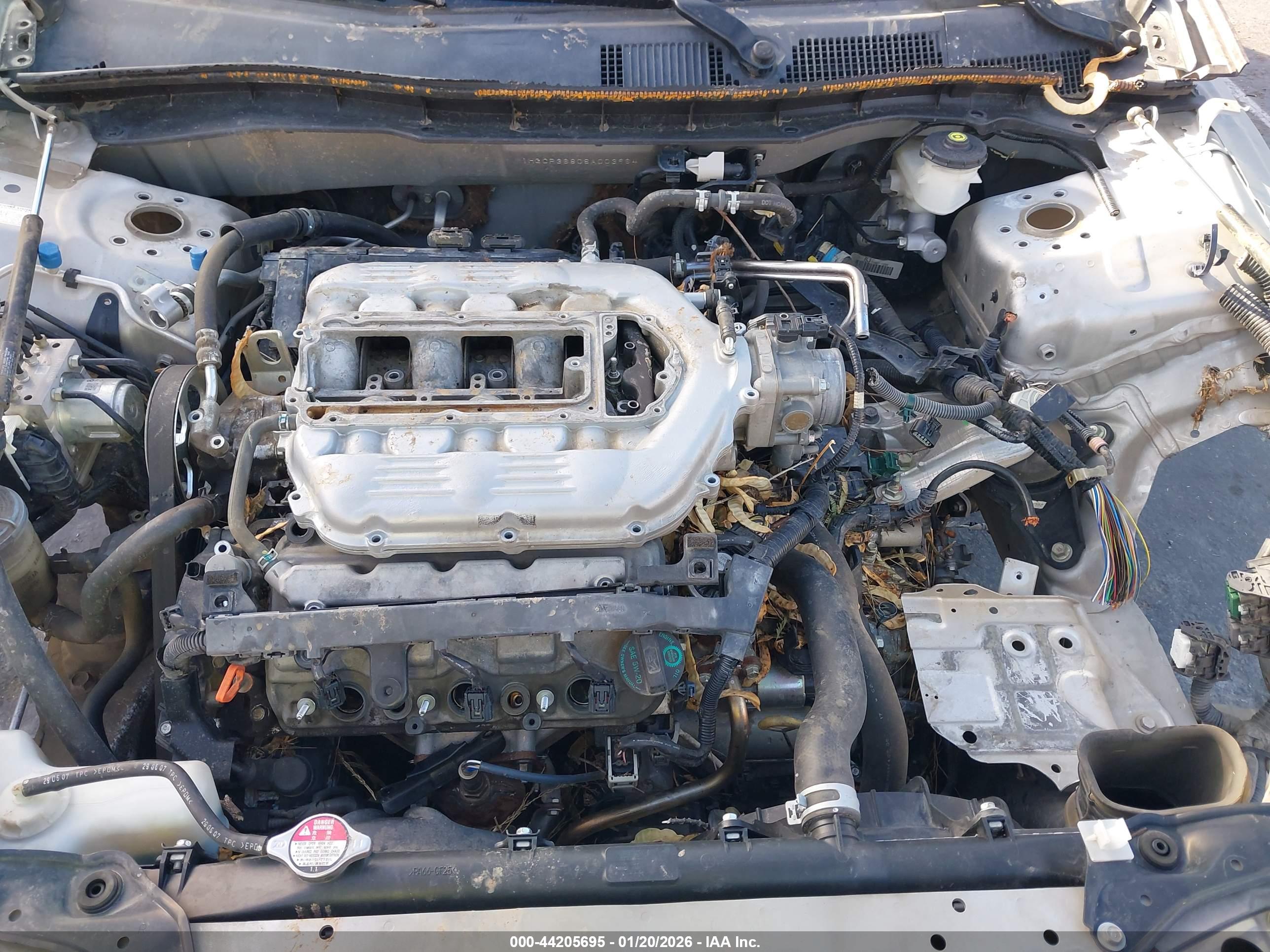HONDA ACCORD image 10