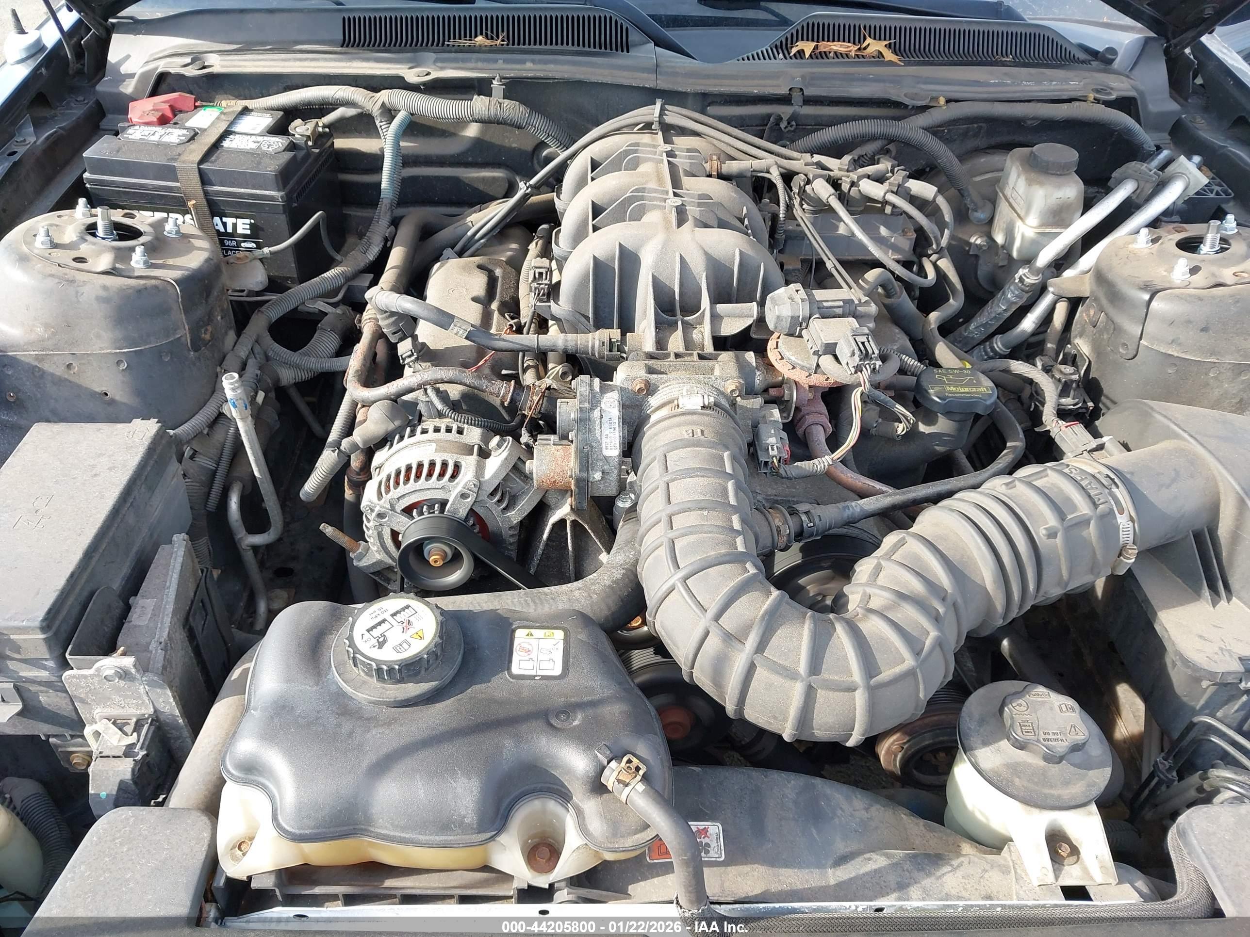 FORD MUSTANG image 10
