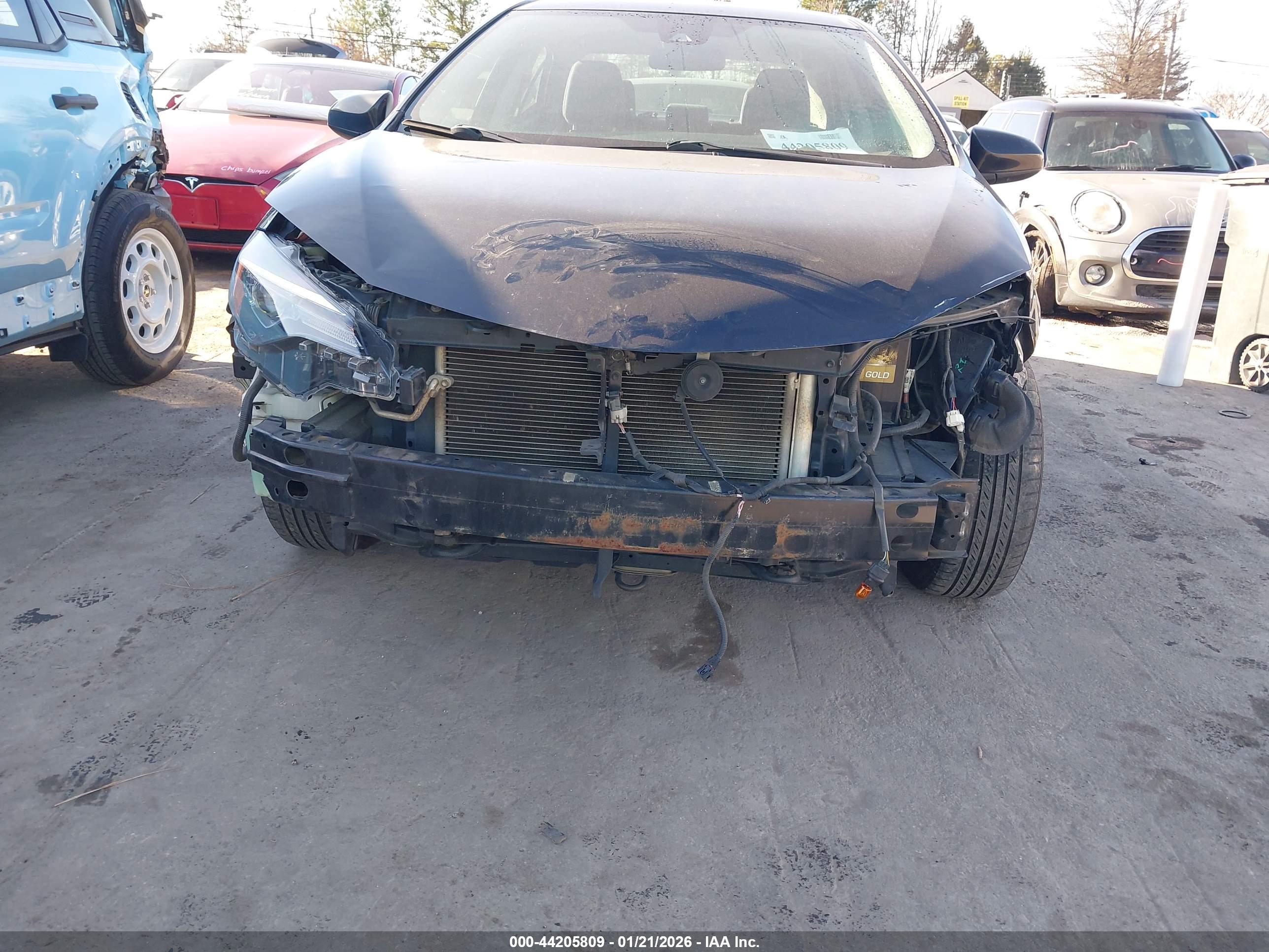 TOYOTA COROLLA image 6