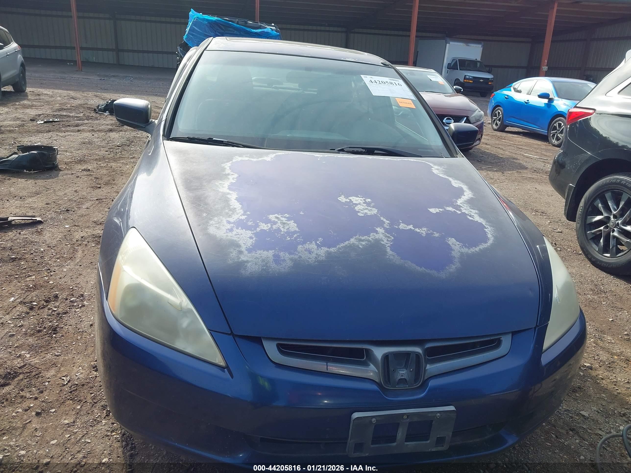 HONDA ACCORD image 6