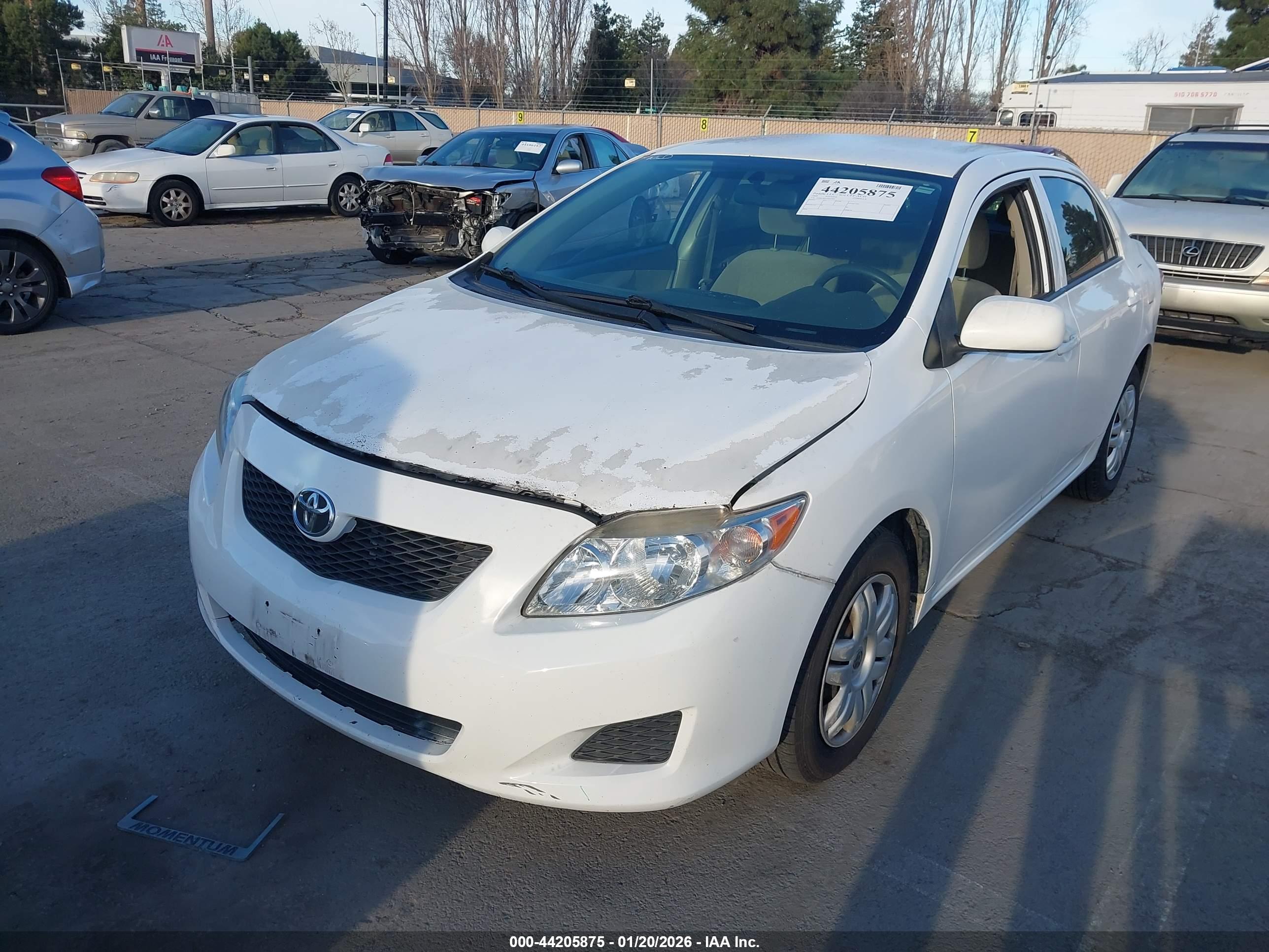 TOYOTA COROLLA image 2