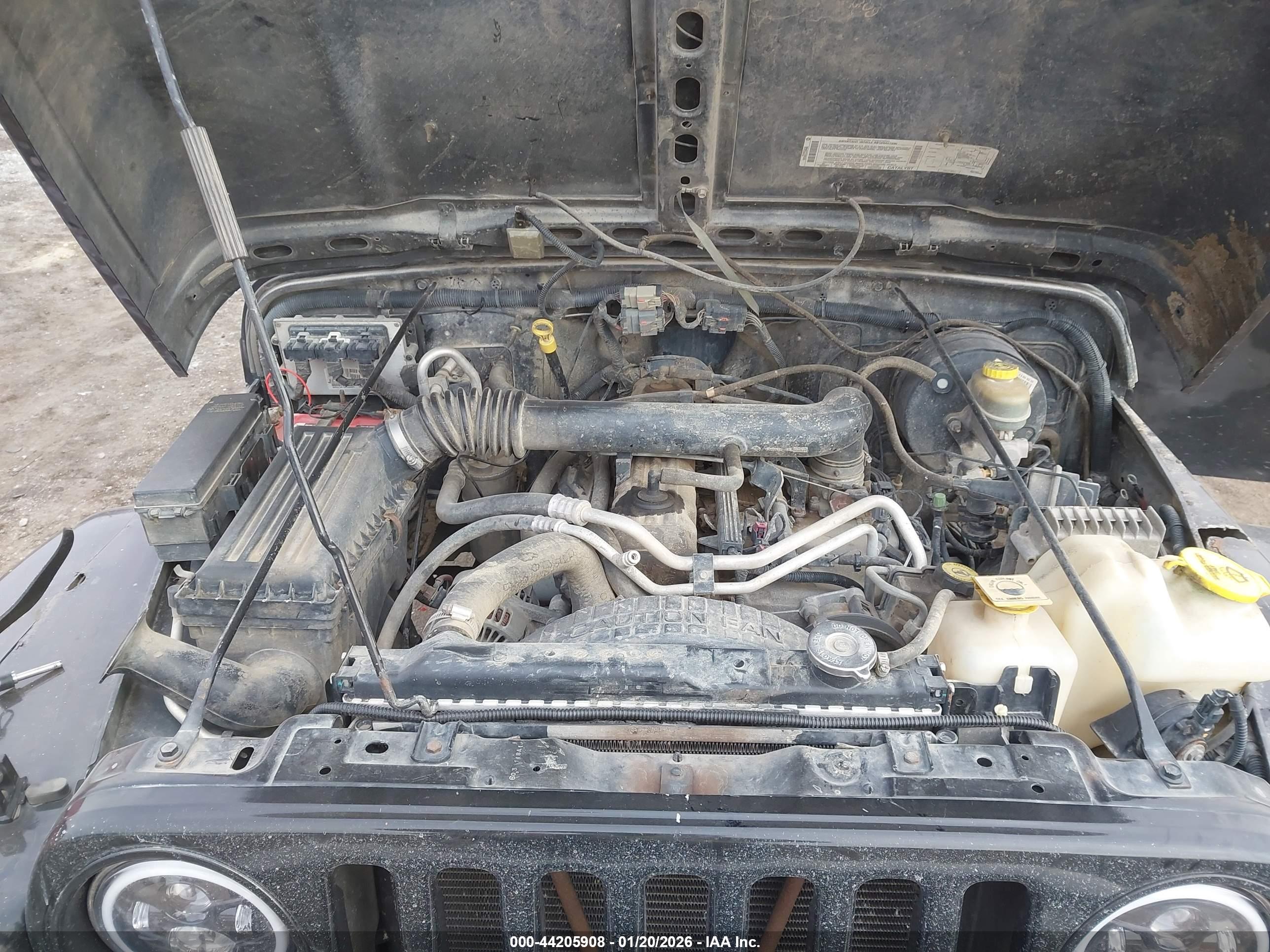 JEEP WRANGLER image 10