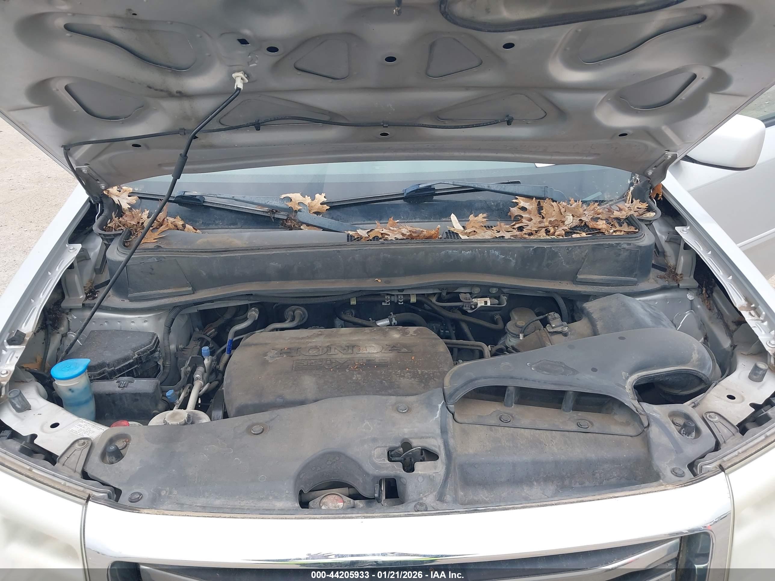 HONDA PILOT image 10