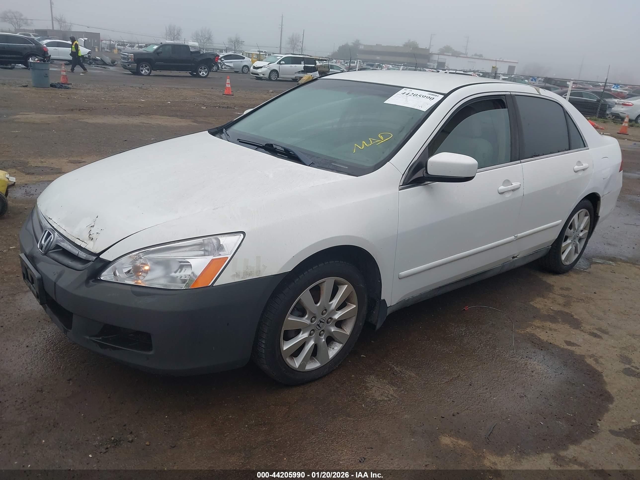 HONDA ACCORD image 2