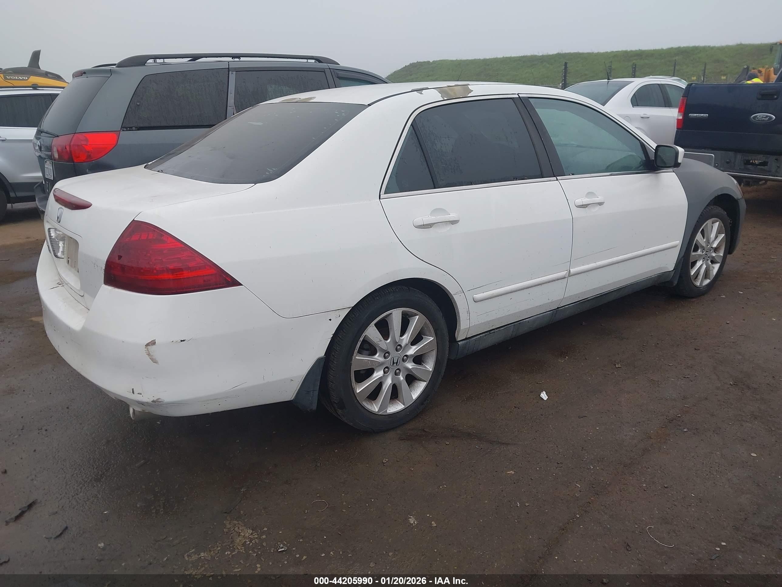 HONDA ACCORD image 4