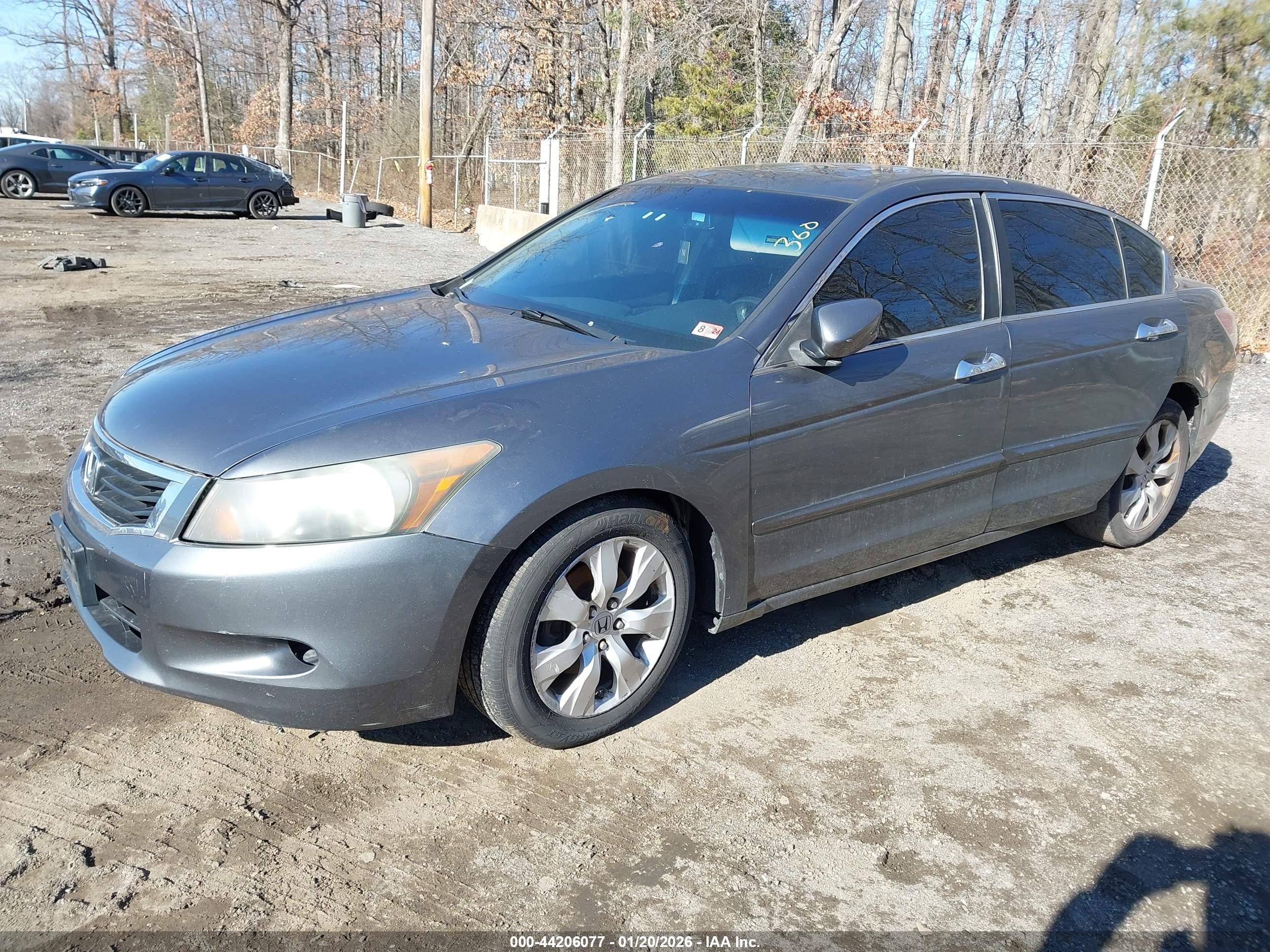 HONDA ACCORD image 2