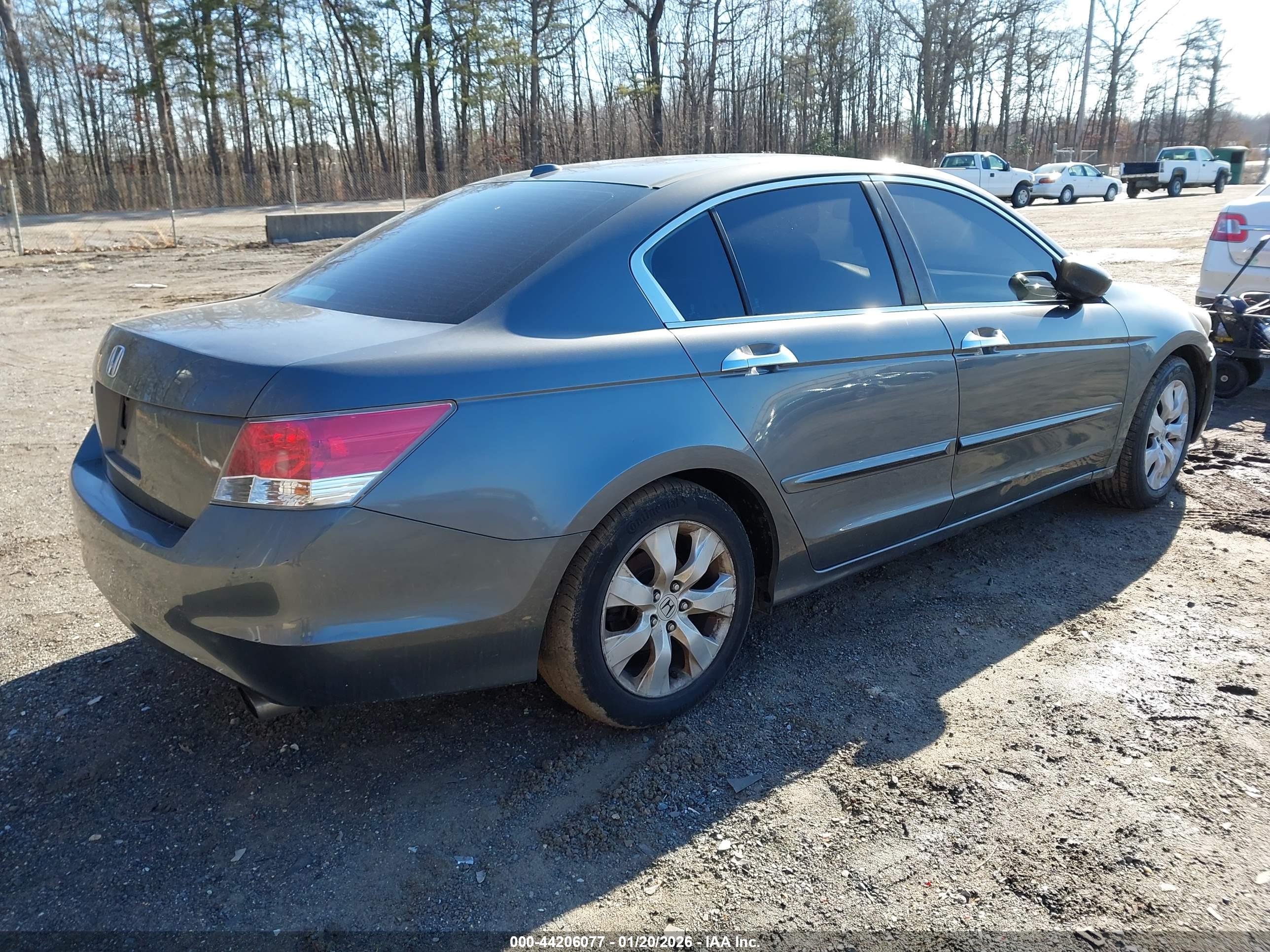HONDA ACCORD image 4