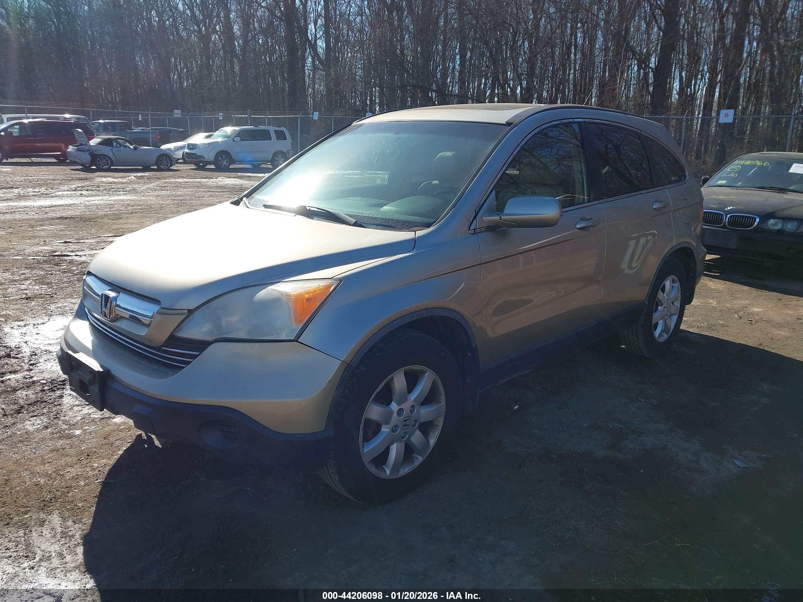 HONDA CR-V image 2