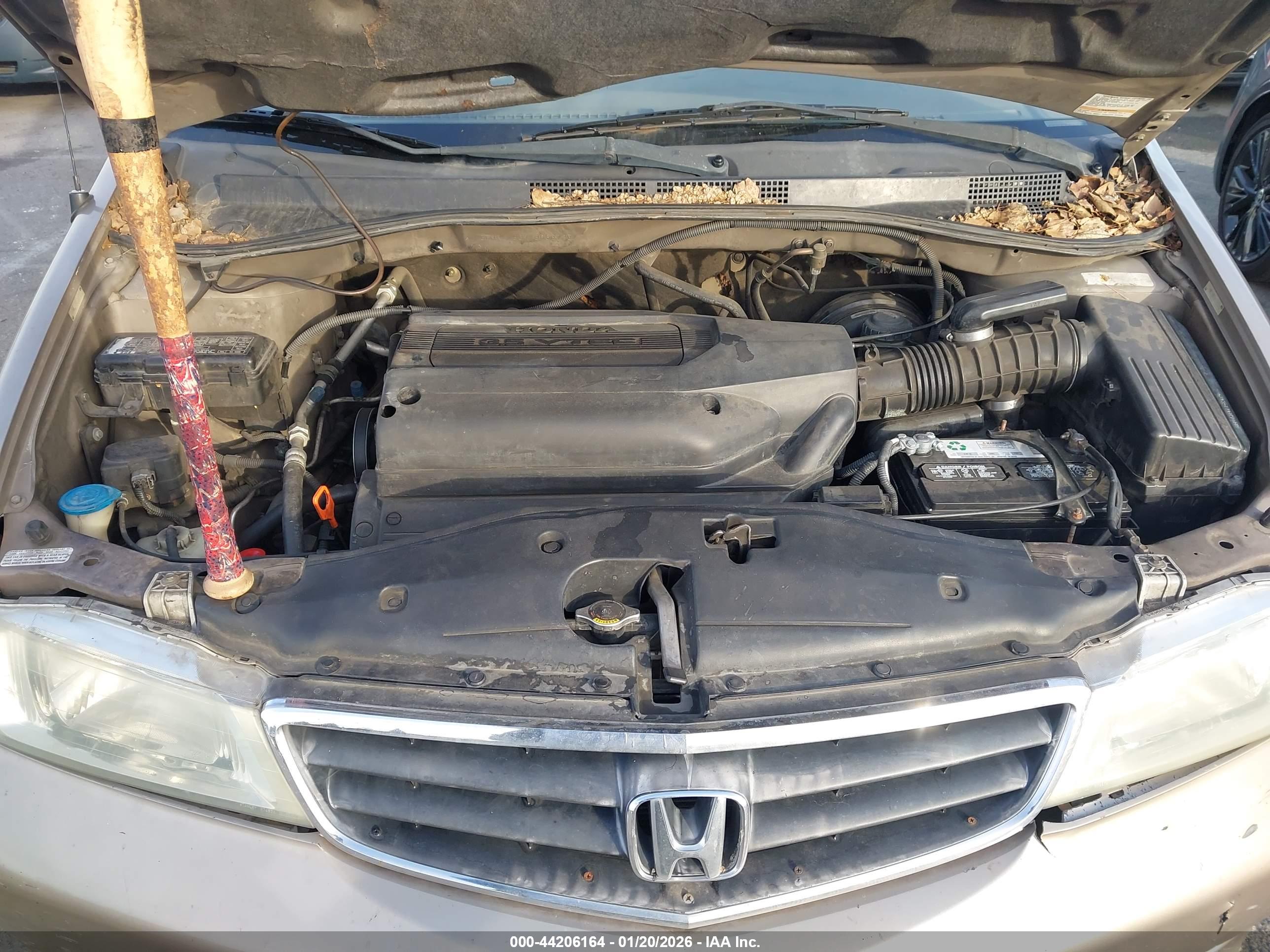 HONDA ODYSSEY image 10