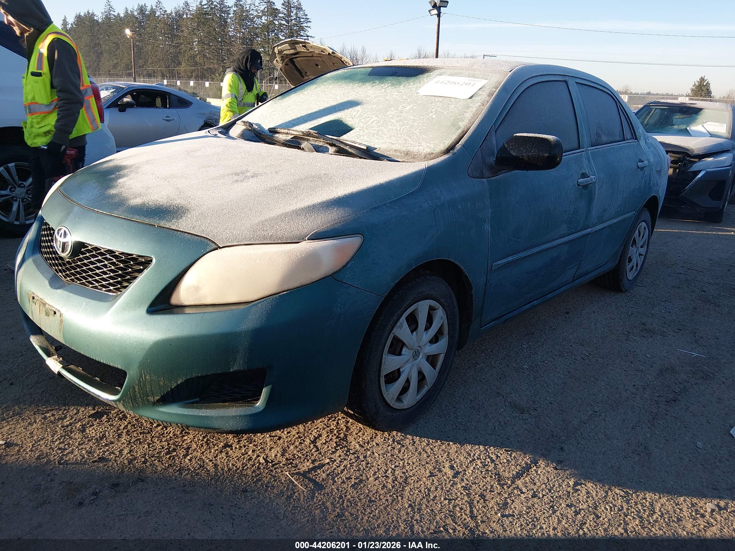 TOYOTA COROLLA image 2