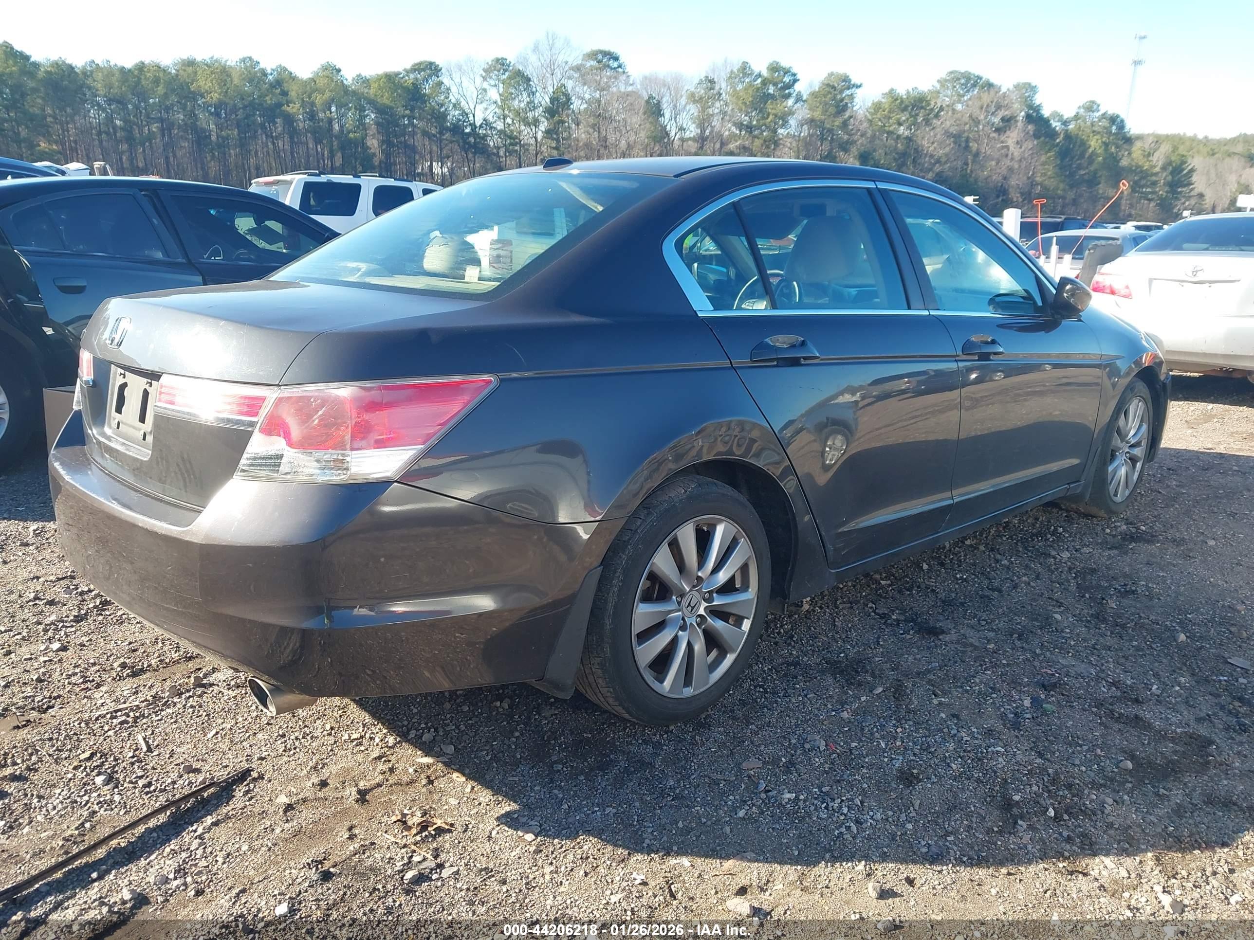 HONDA ACCORD image 4