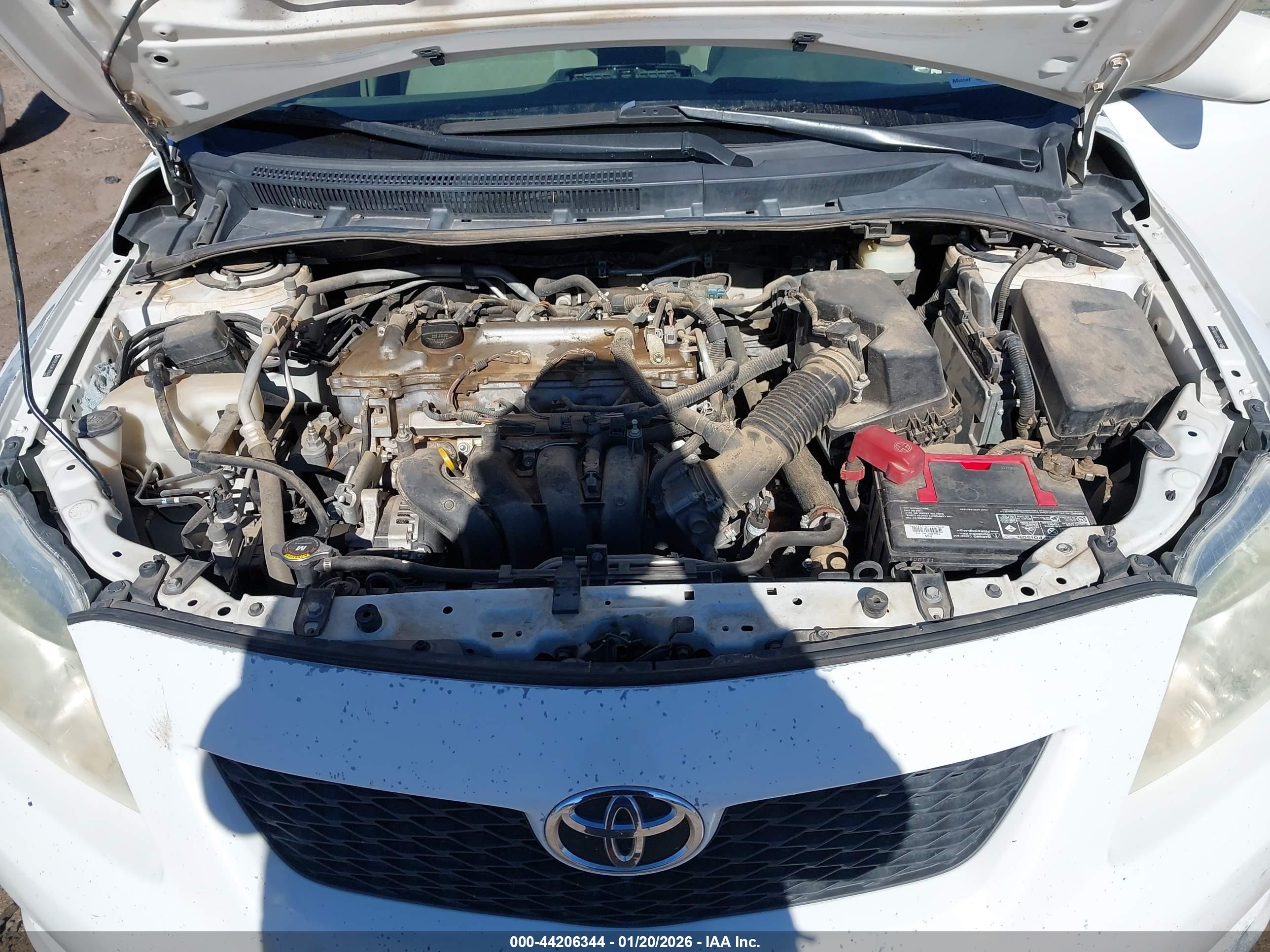 TOYOTA COROLLA image 10