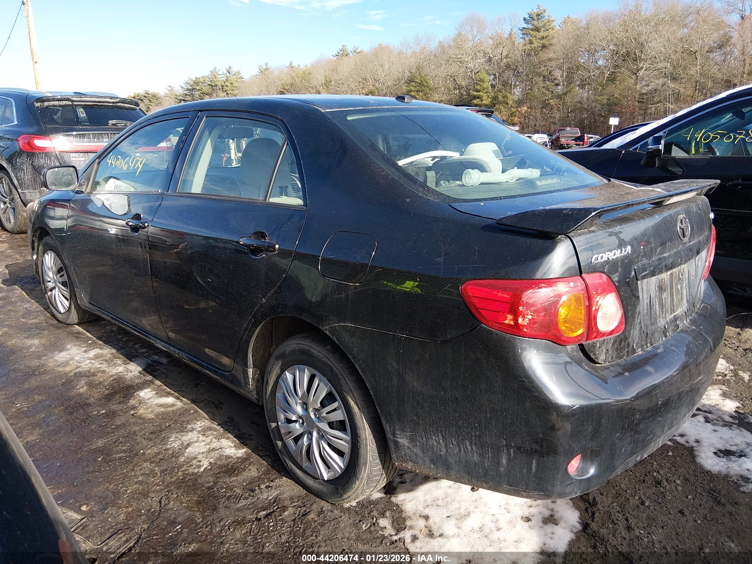 TOYOTA COROLLA image 3