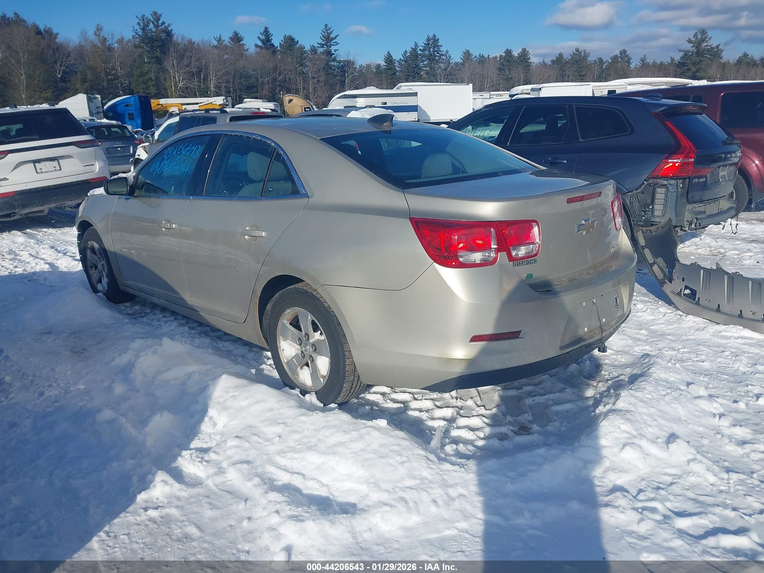 CHEVROLET MALIBU image 3
