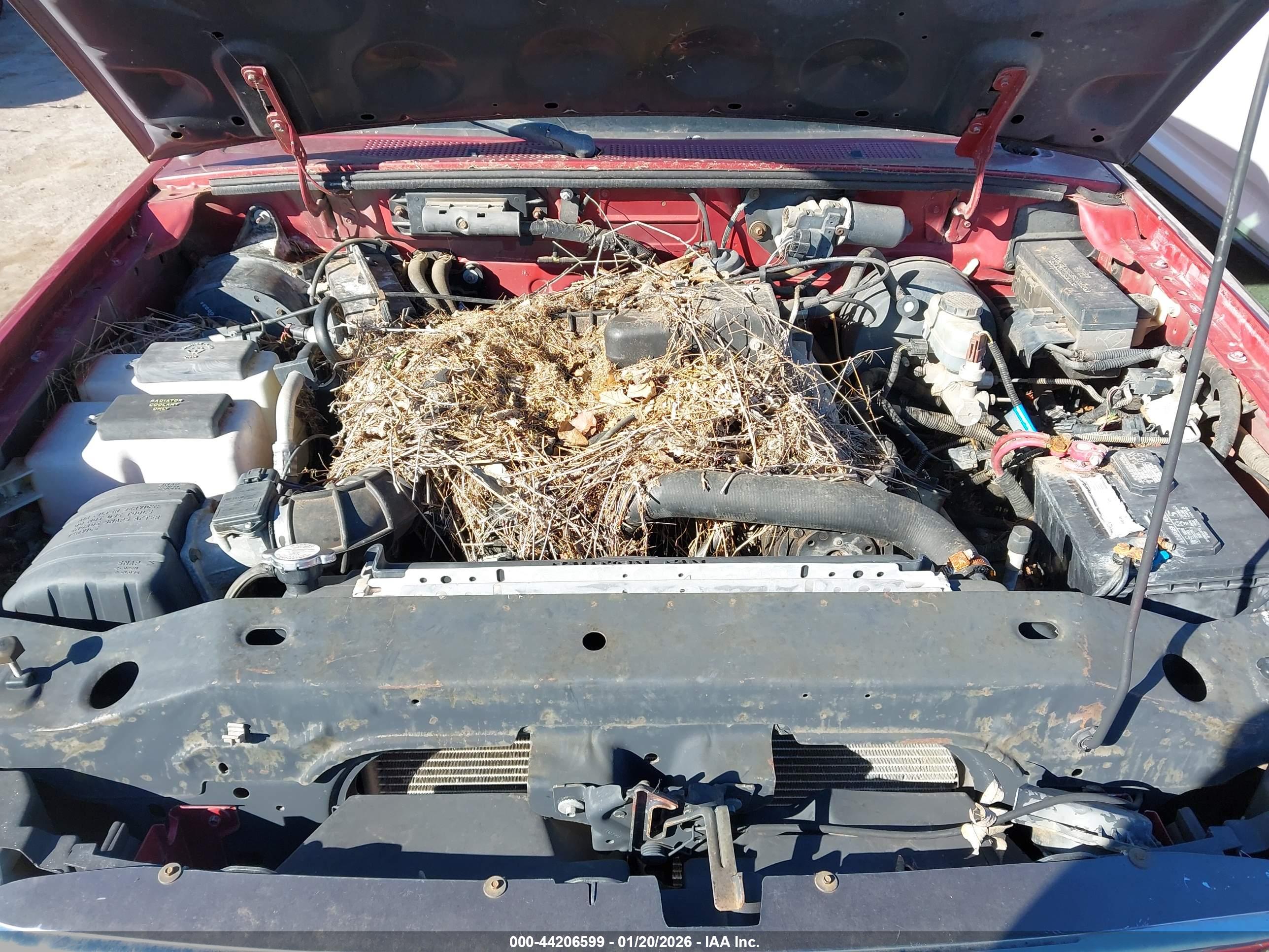 FORD RANGER image 10