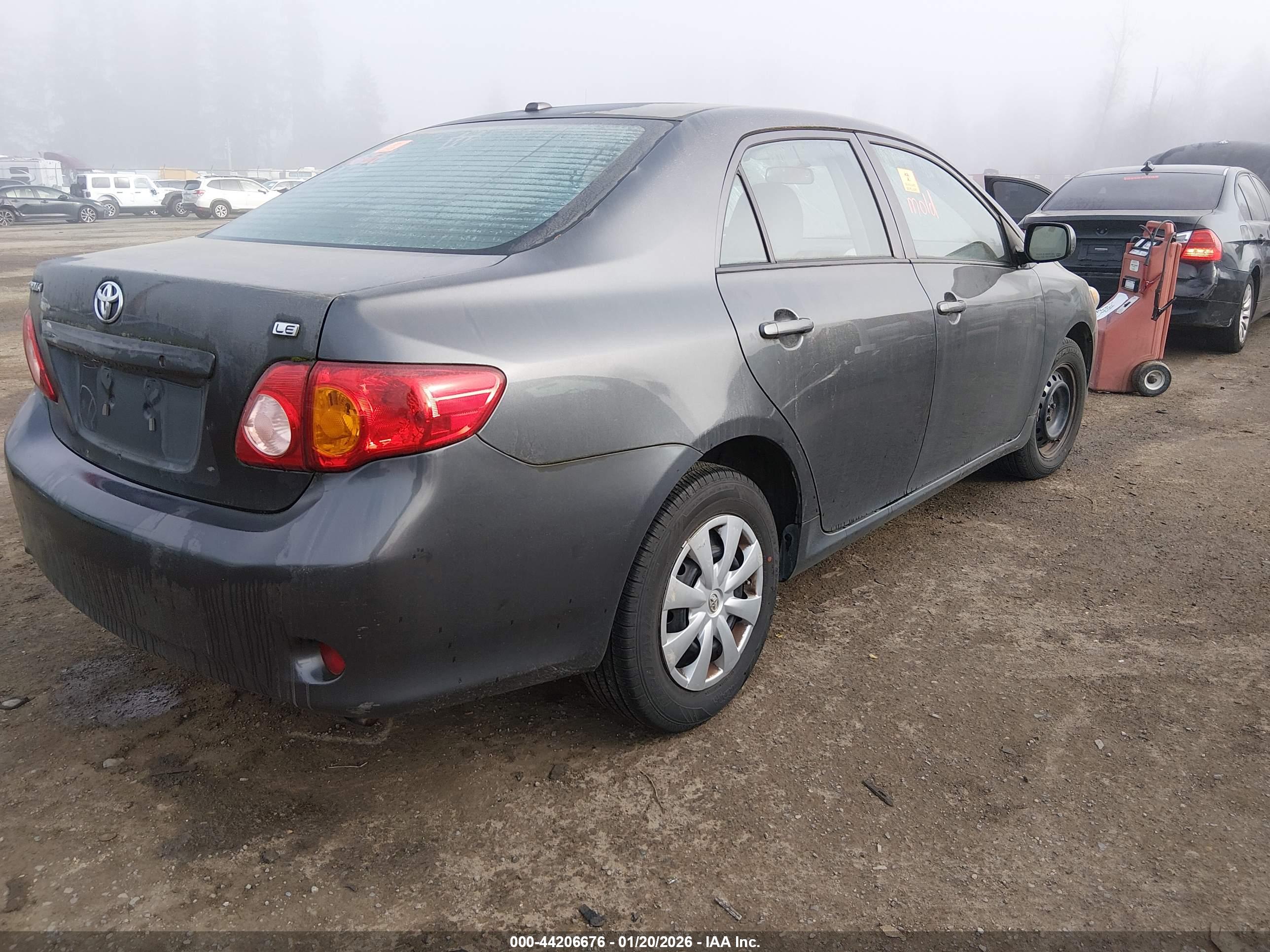TOYOTA COROLLA image 4
