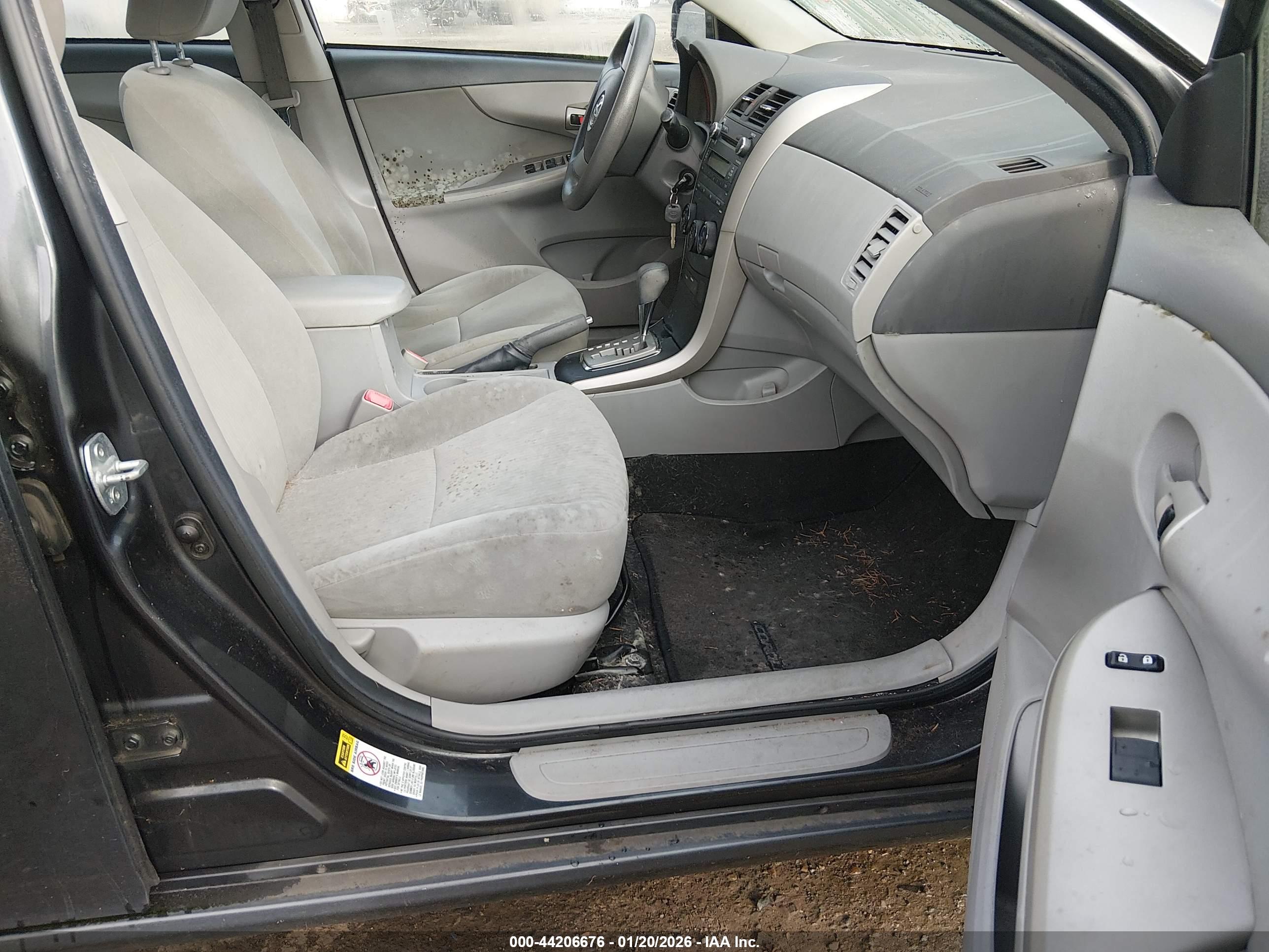 TOYOTA COROLLA image 5