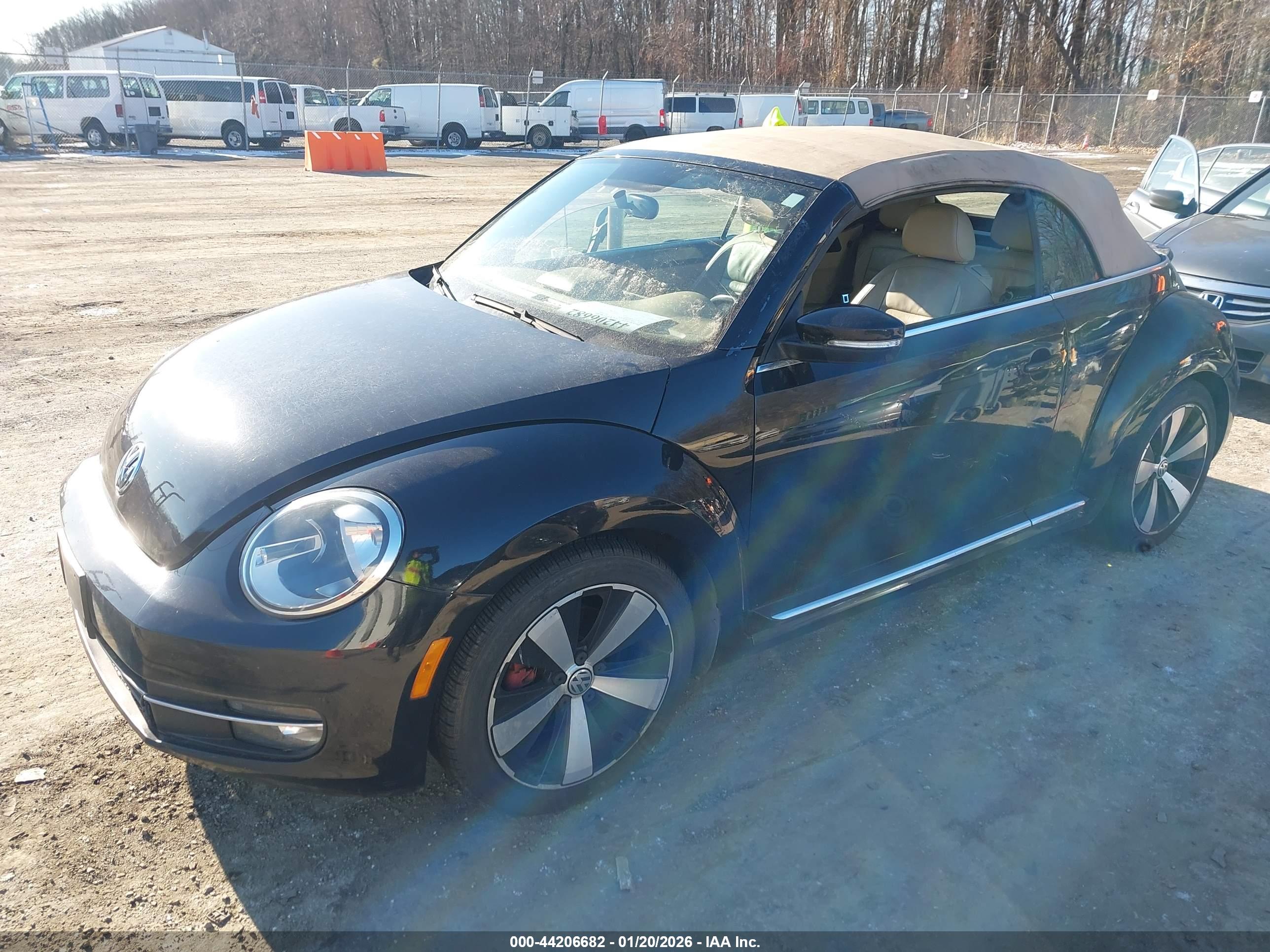 VOLKSWAGEN BEETLE image 2