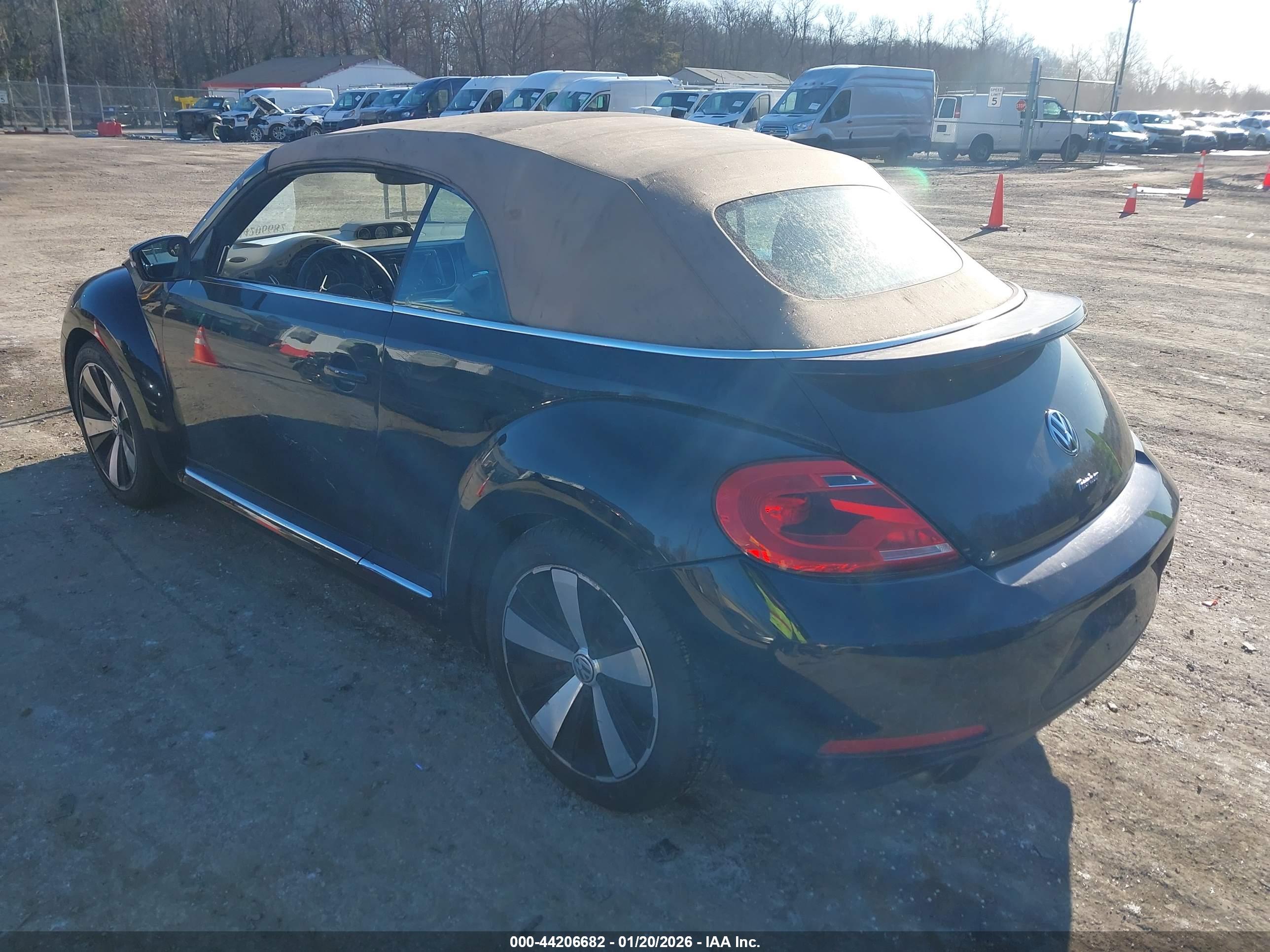 VOLKSWAGEN BEETLE image 3