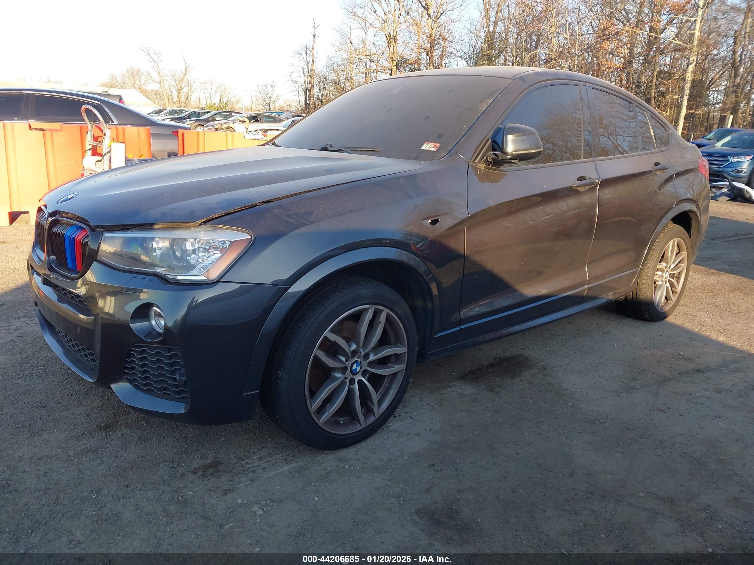 BMW X4 image 2