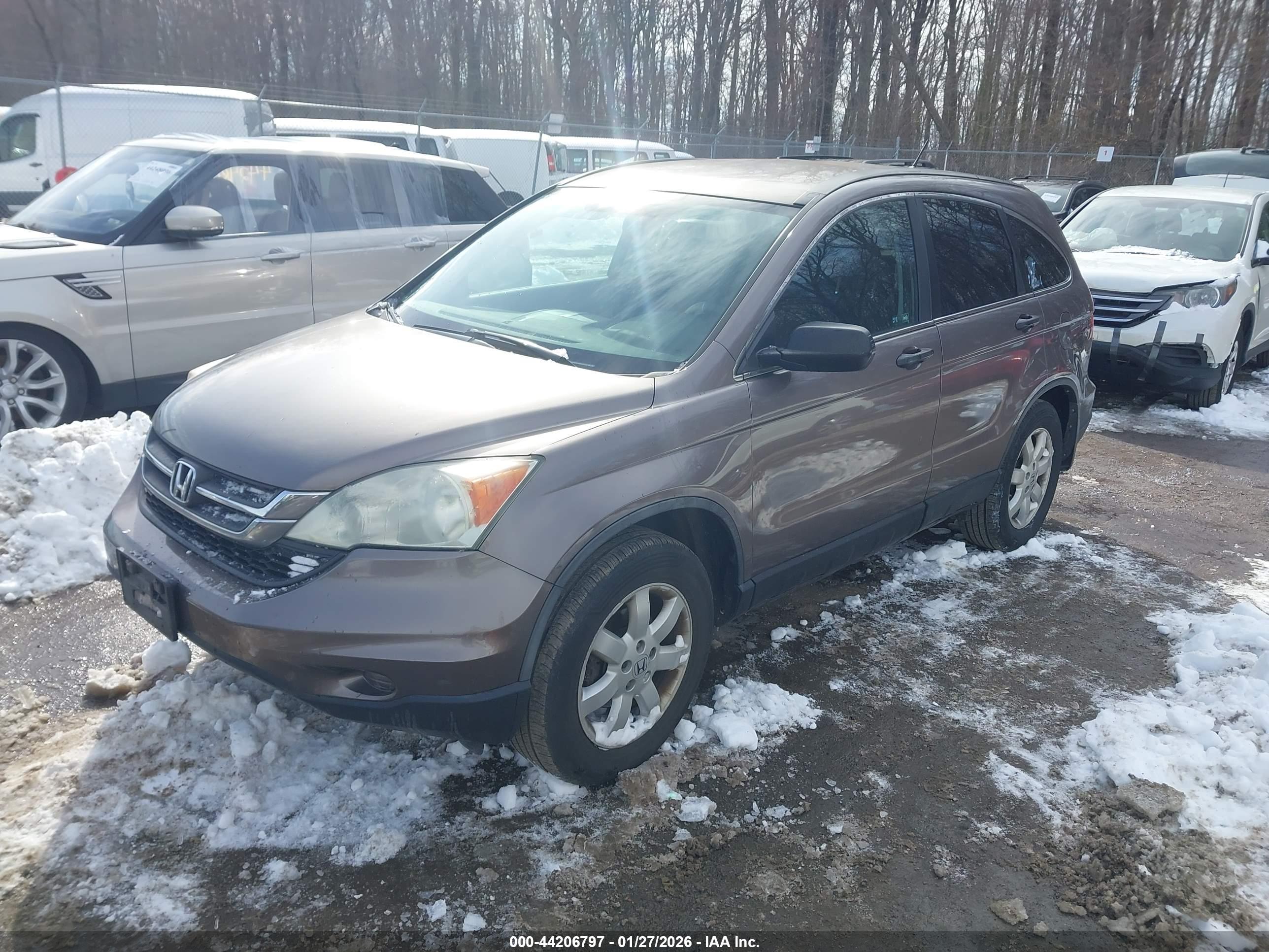 HONDA CR-V image 2