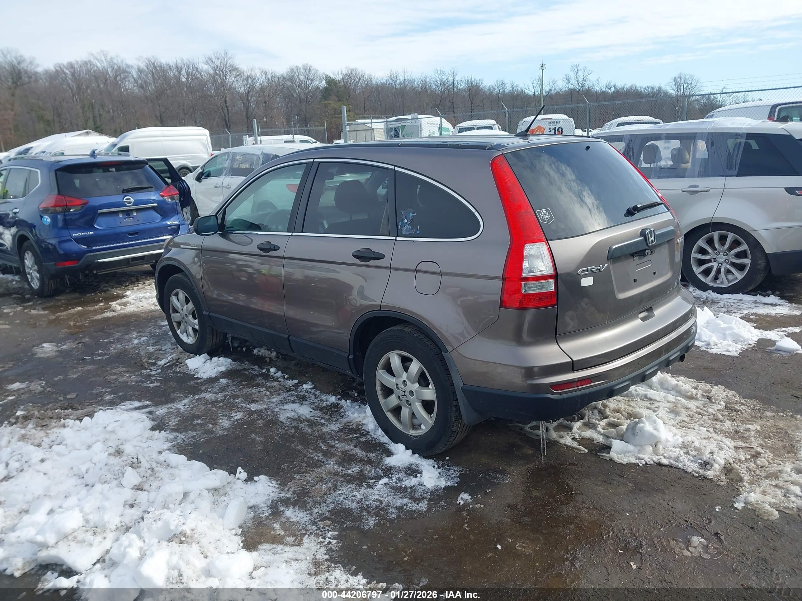 HONDA CR-V image 3
