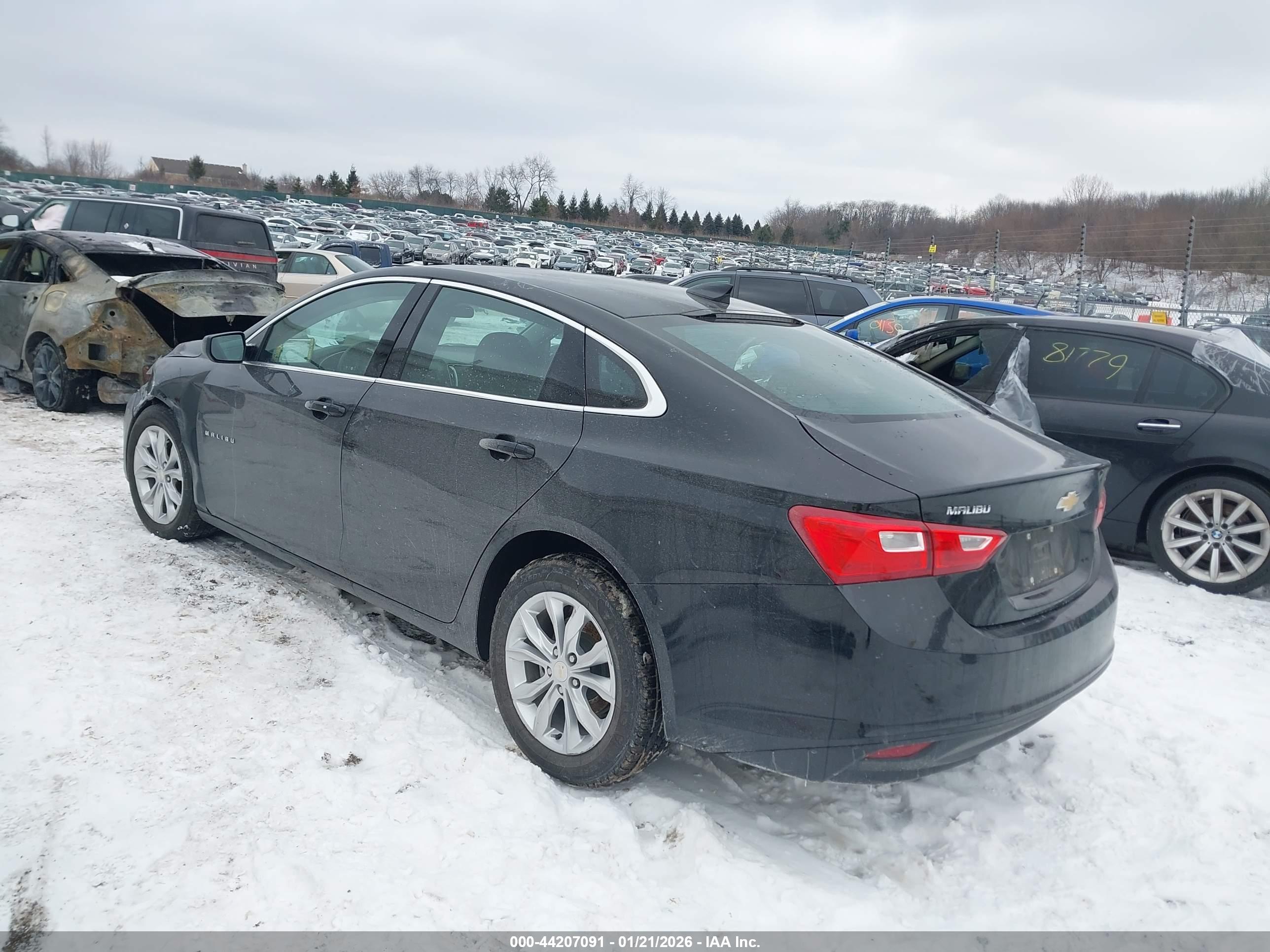 CHEVROLET MALIBU image 3