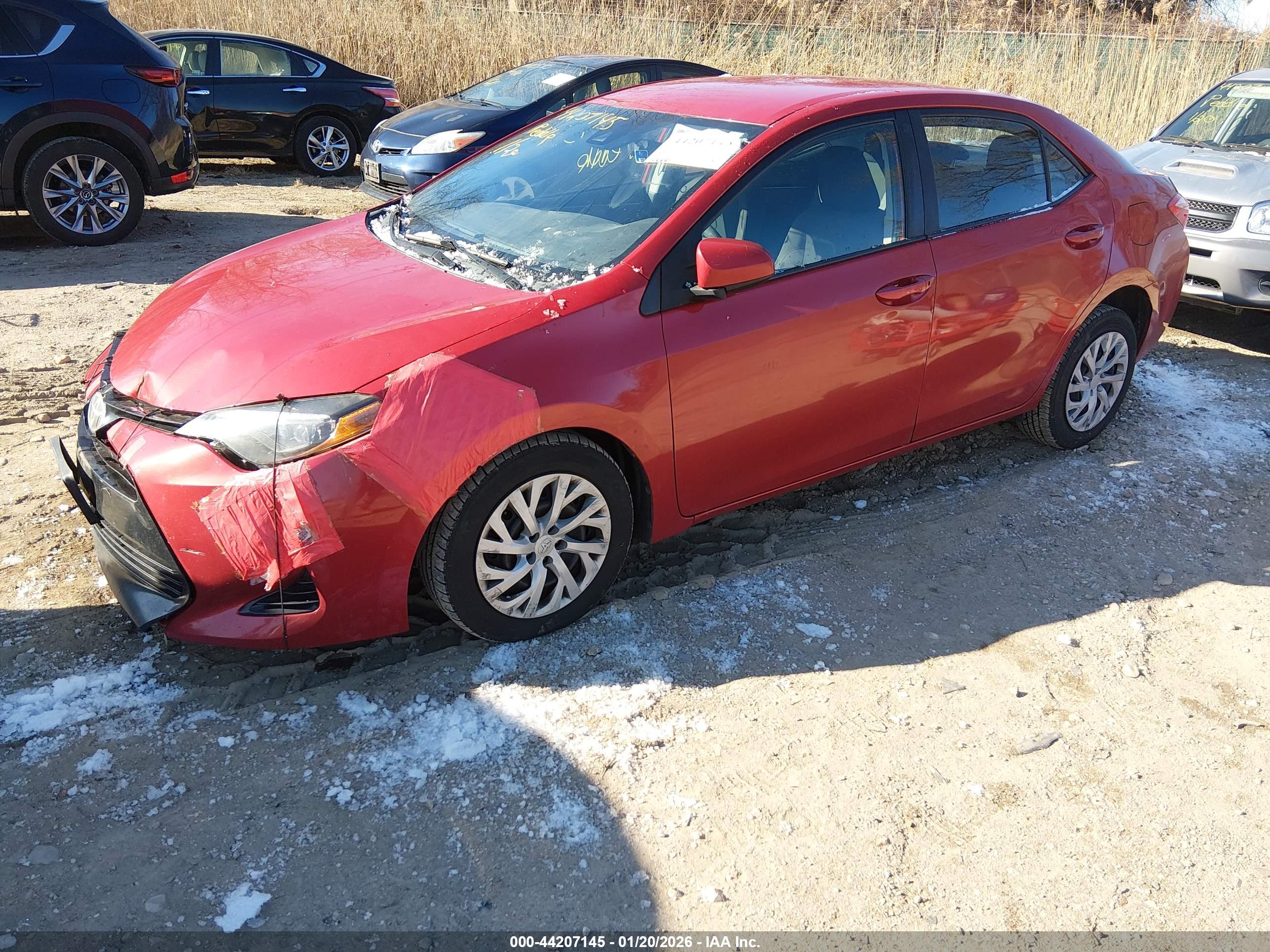 TOYOTA COROLLA image 2