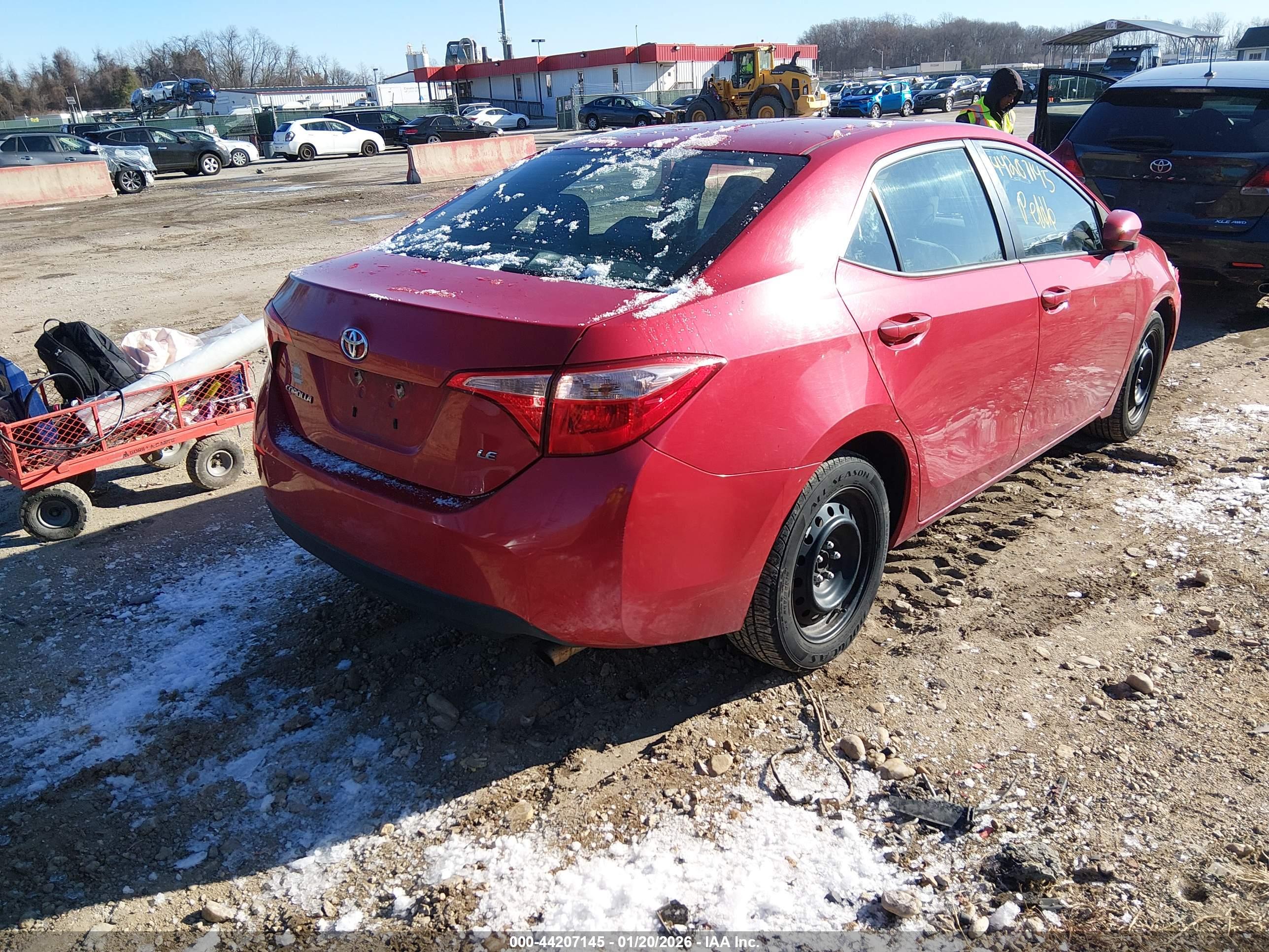 TOYOTA COROLLA image 4