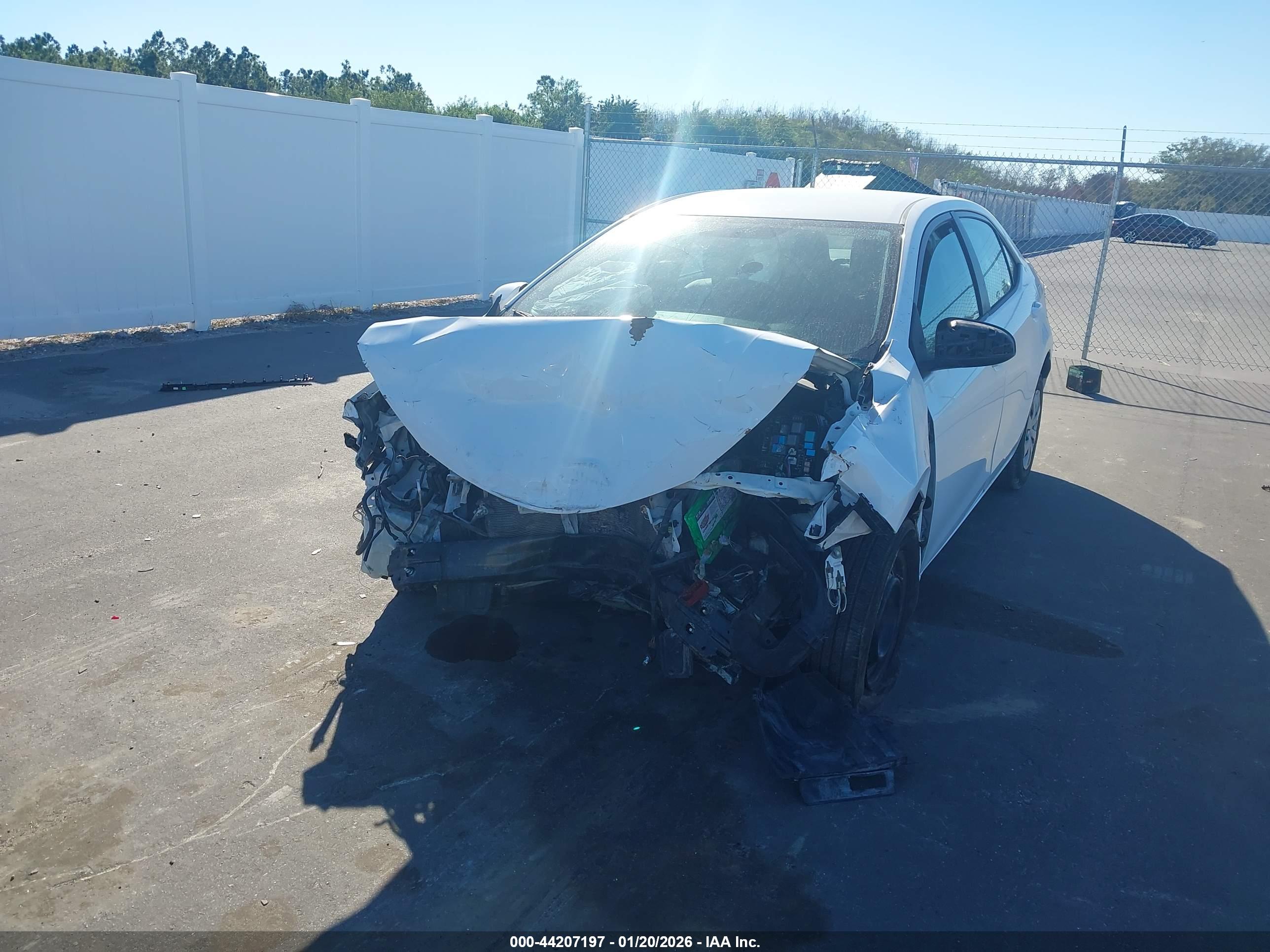 TOYOTA COROLLA image 2