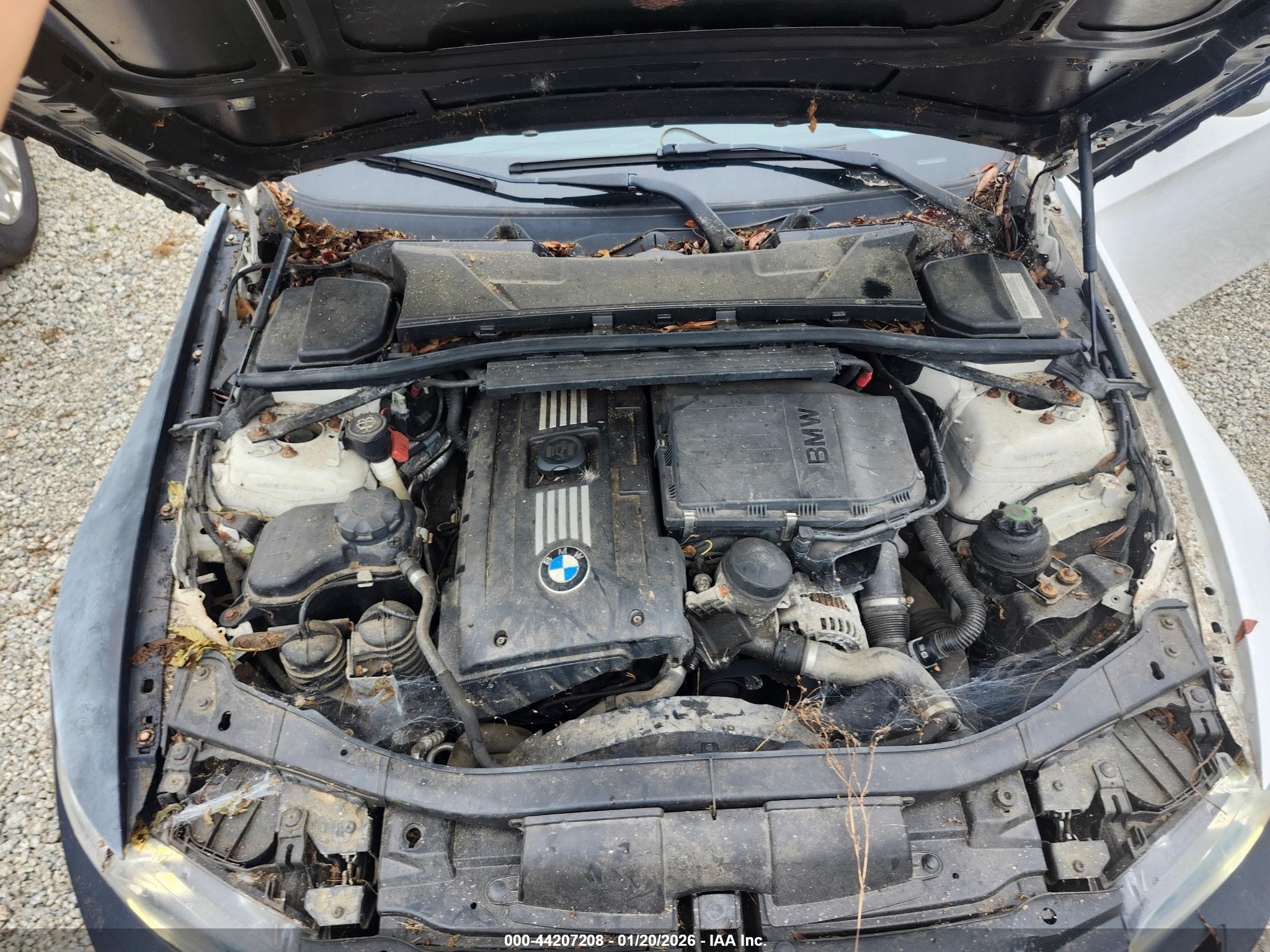 BMW 335I image 10