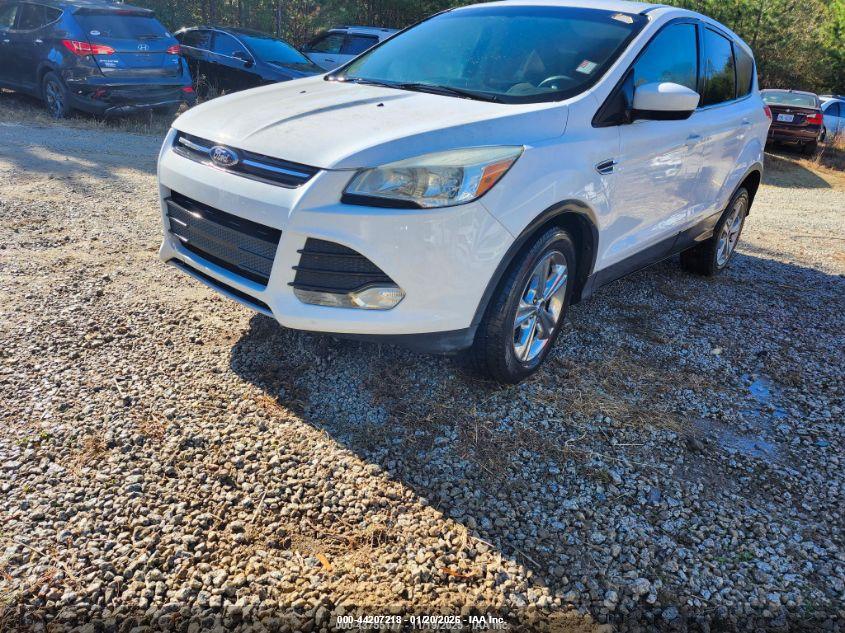 FORD ESCAPE image 2