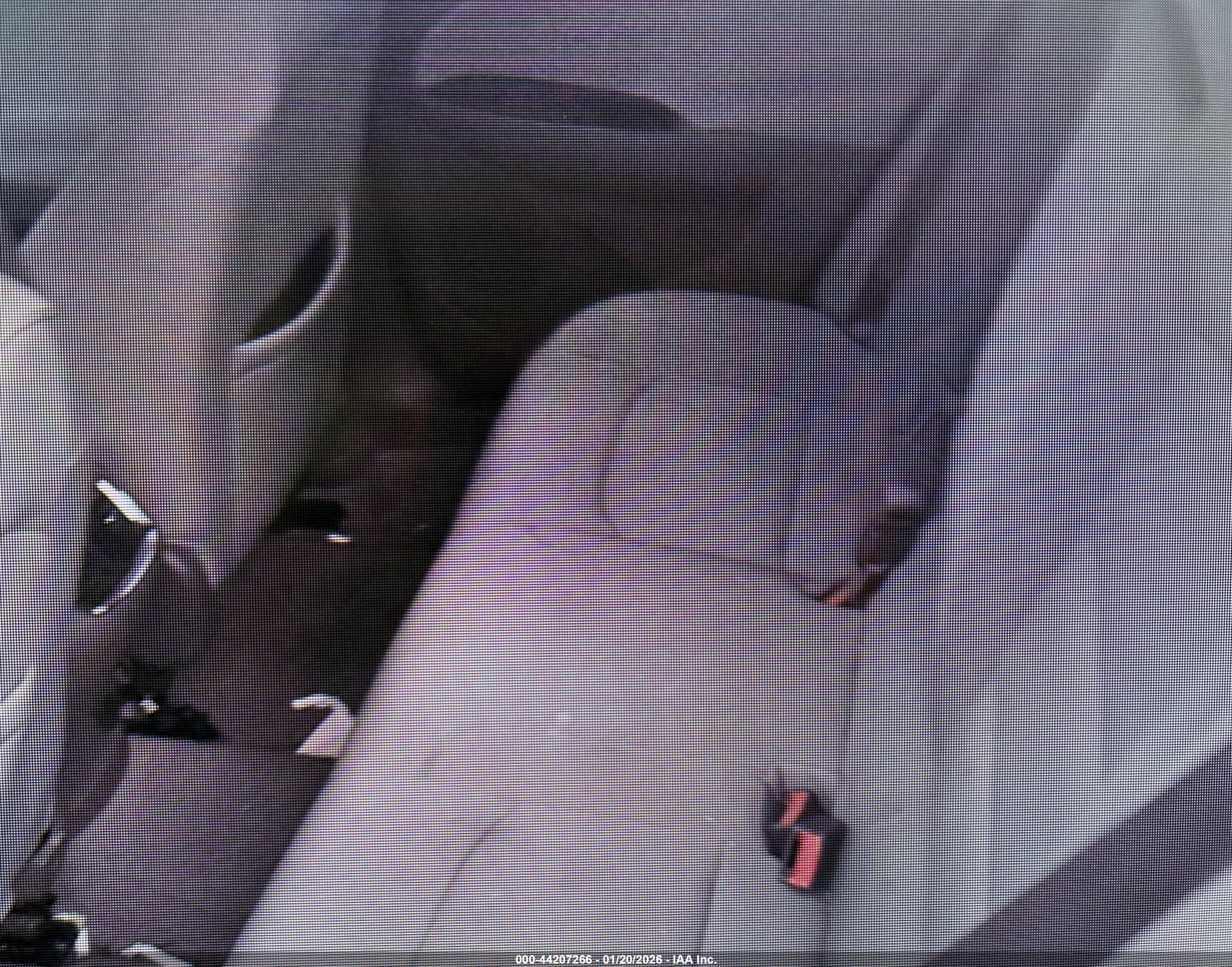 CHEVROLET MALIBU image 8