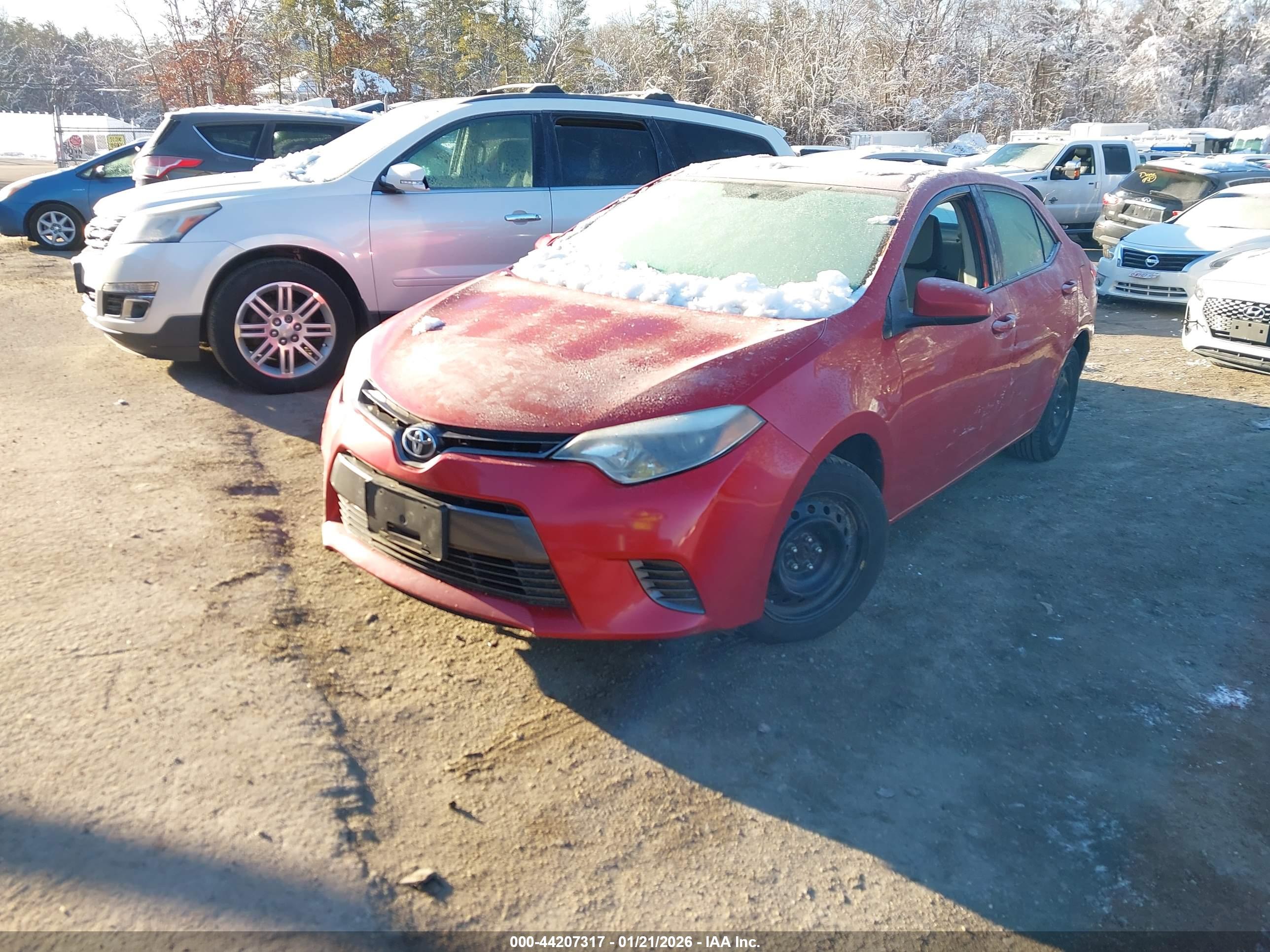 TOYOTA COROLLA image 2