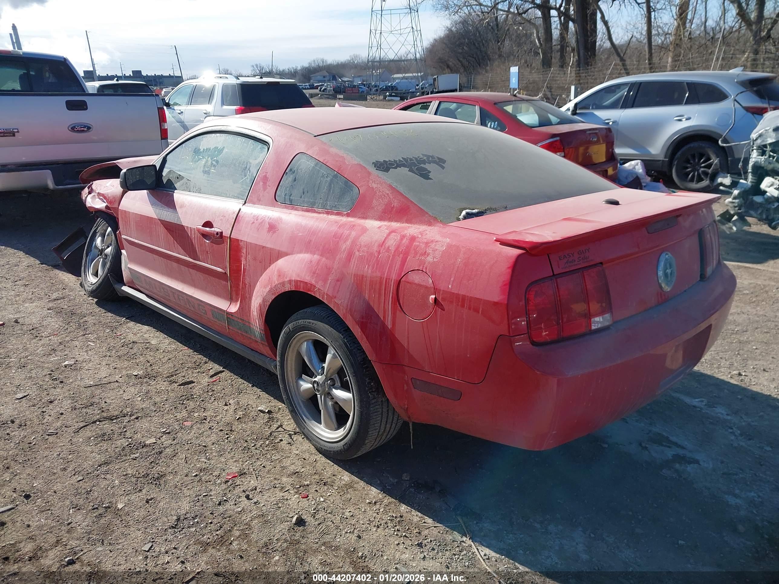 FORD MUSTANG image 3