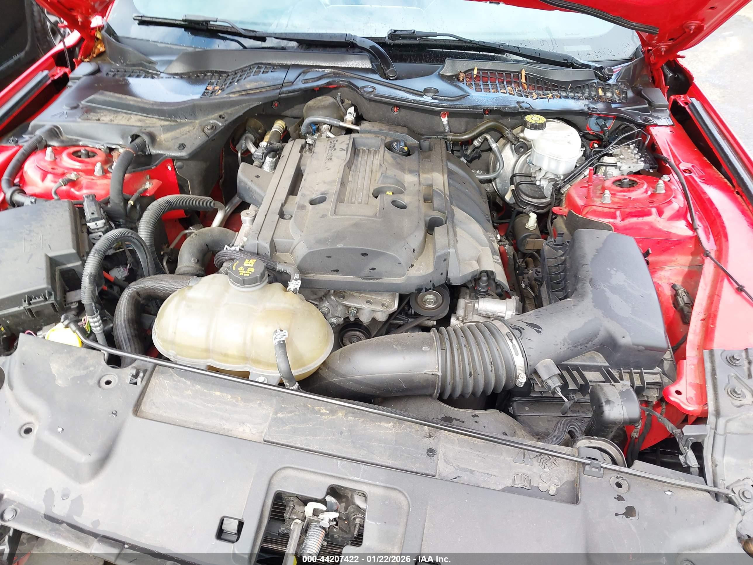 FORD MUSTANG image 10