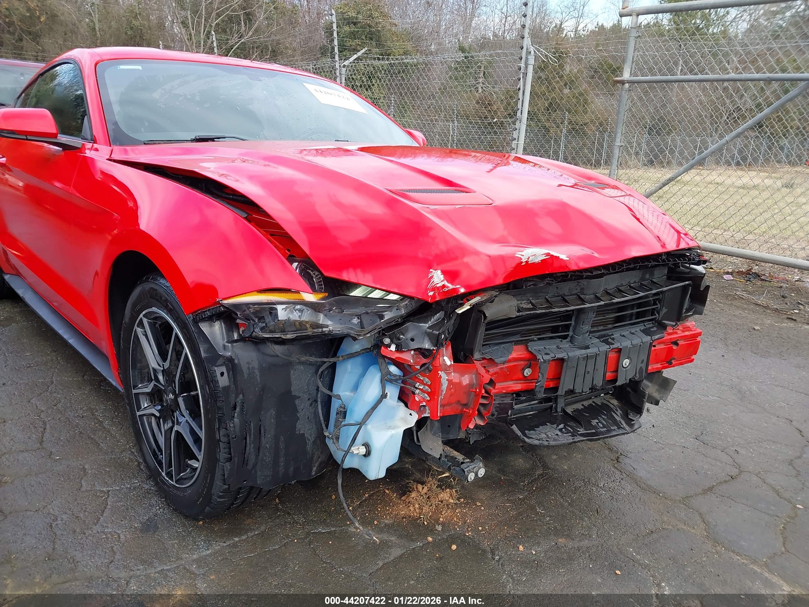 FORD MUSTANG image 6