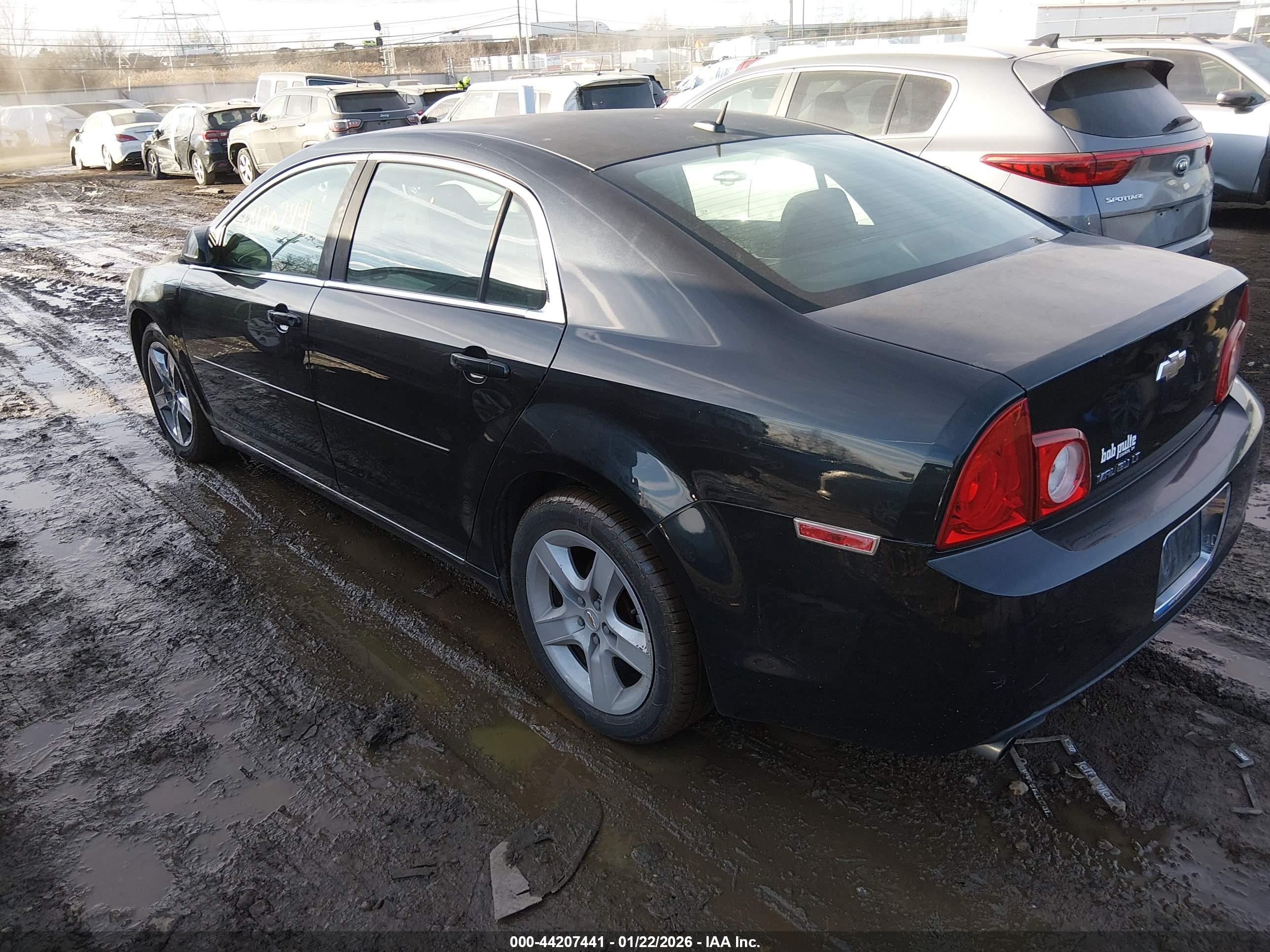 CHEVROLET MALIBU image 3