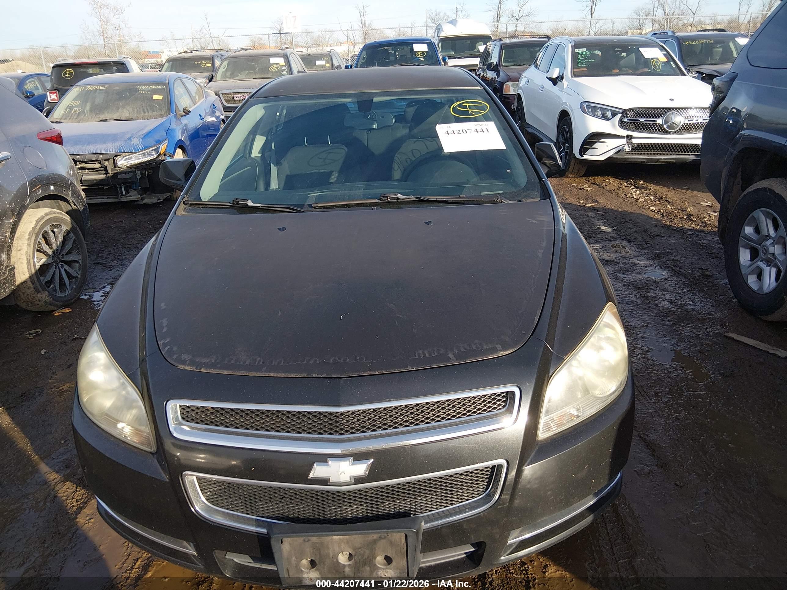 CHEVROLET MALIBU image 6