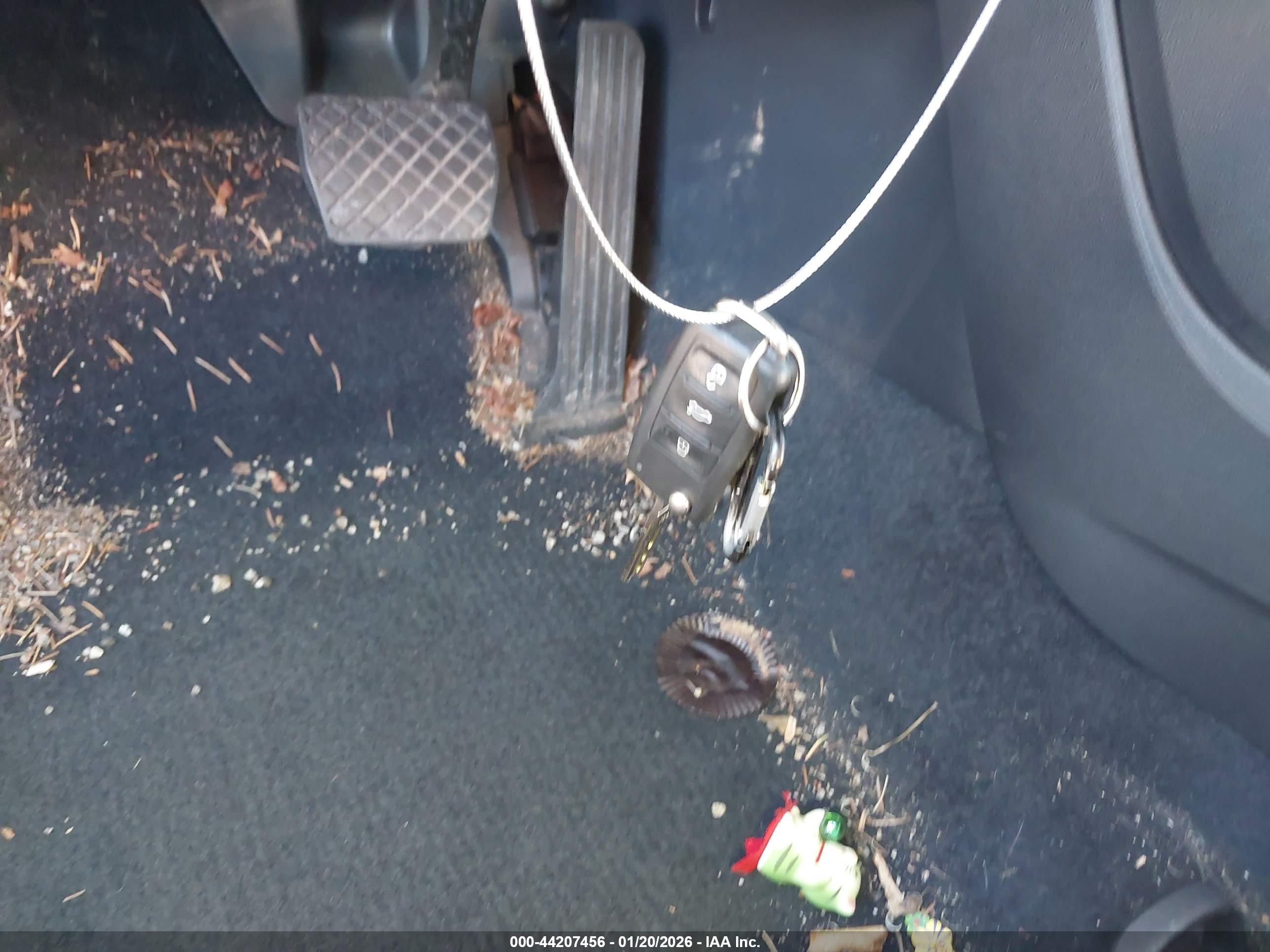 VOLKSWAGEN BEETLE image 11