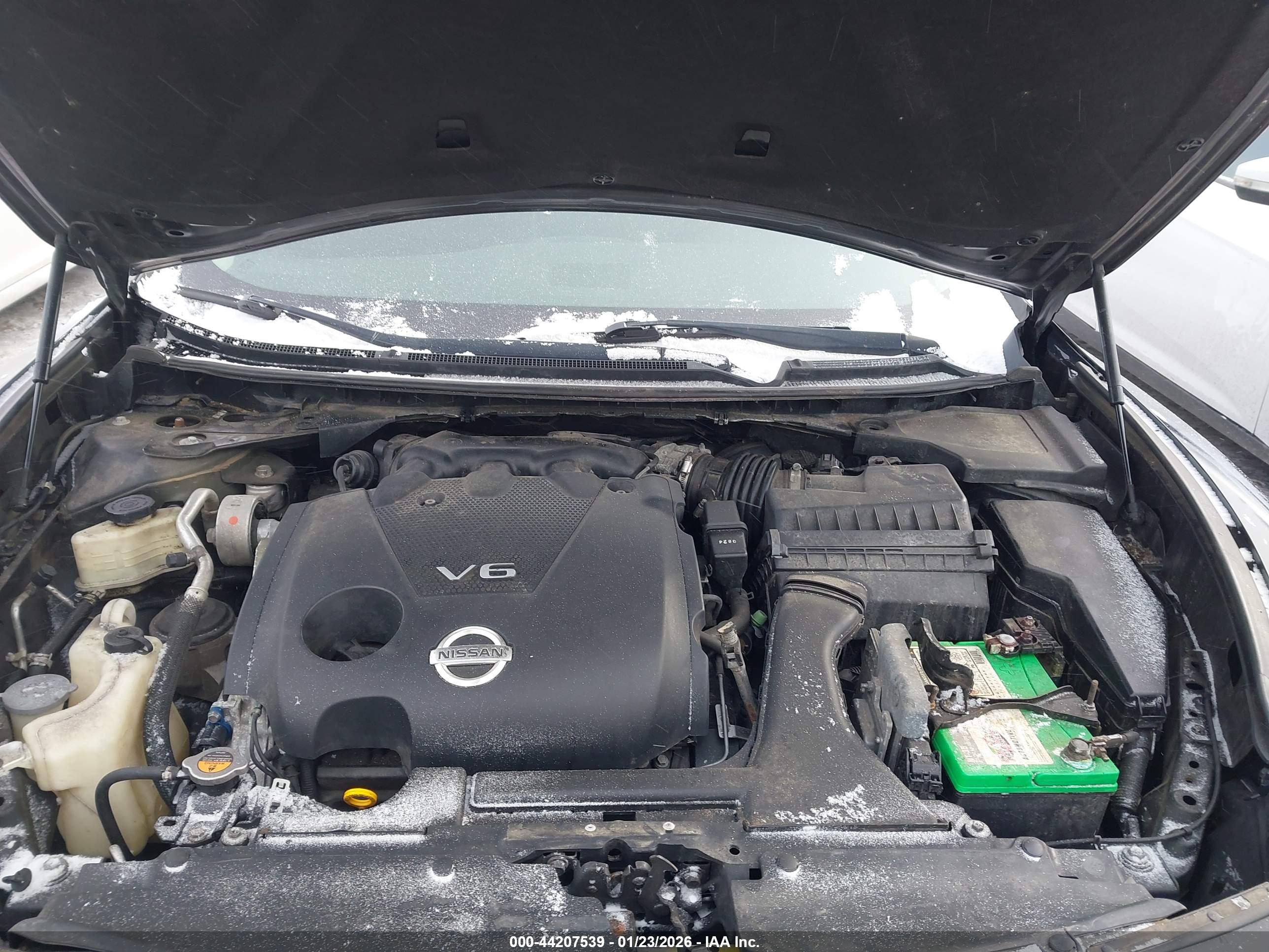 NISSAN MAXIMA image 10
