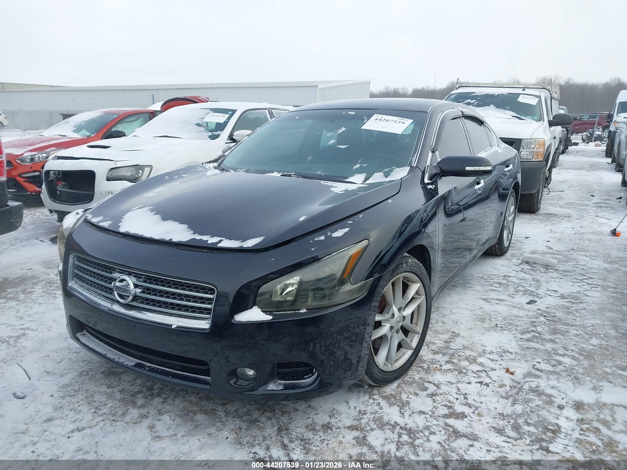 NISSAN MAXIMA image 2
