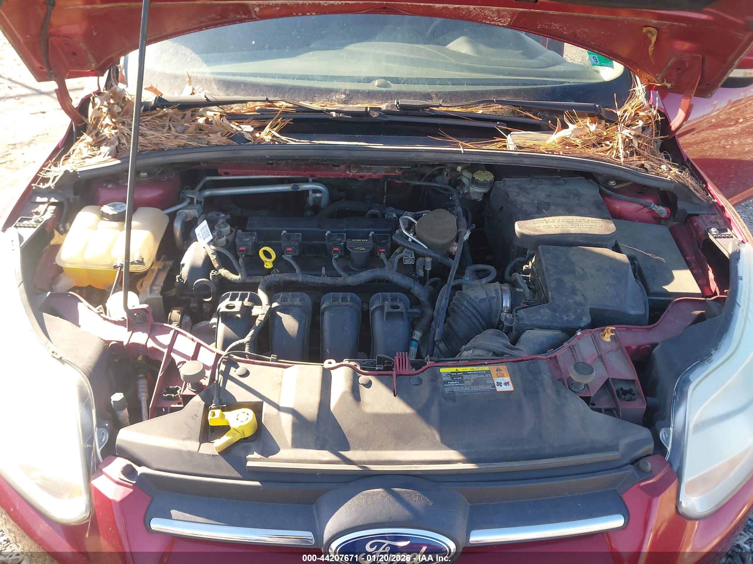 FORD FOCUS image 10