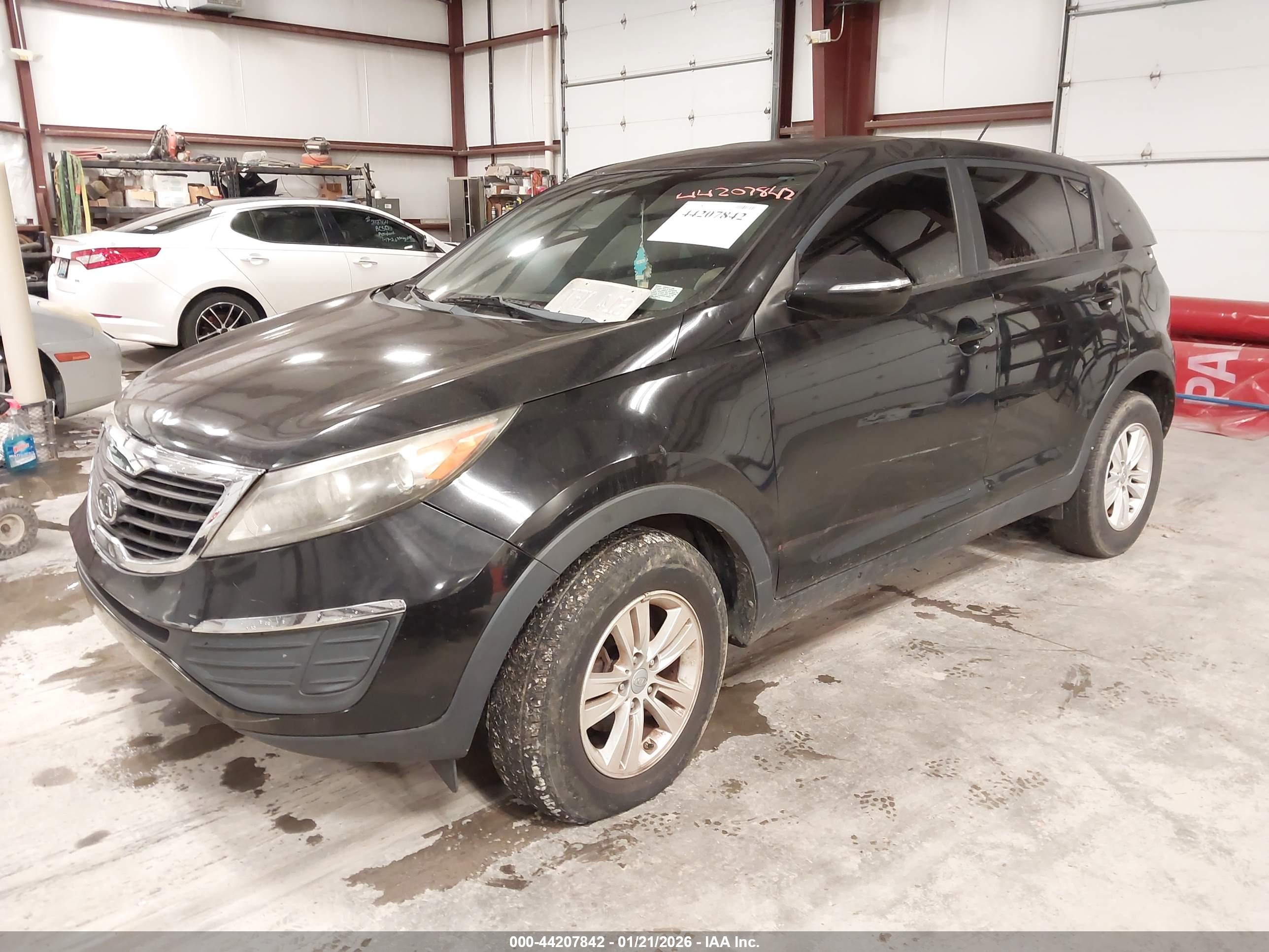 KIA SPORTAGE image 2