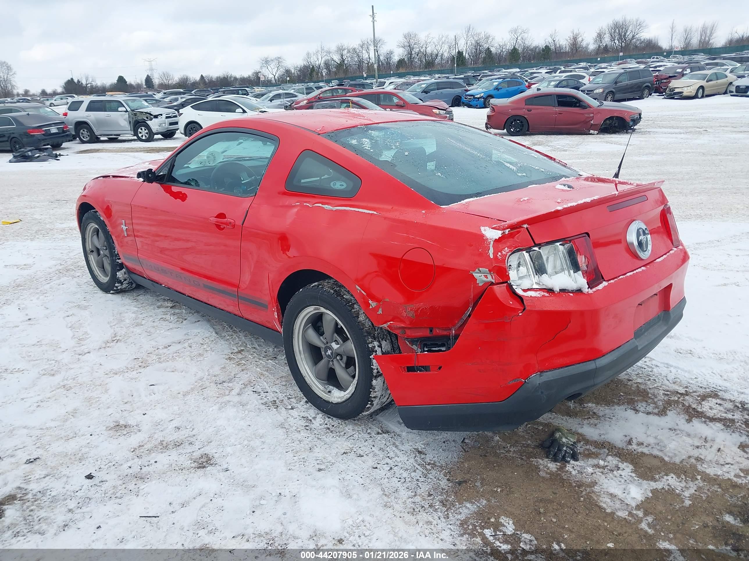 FORD MUSTANG image 3